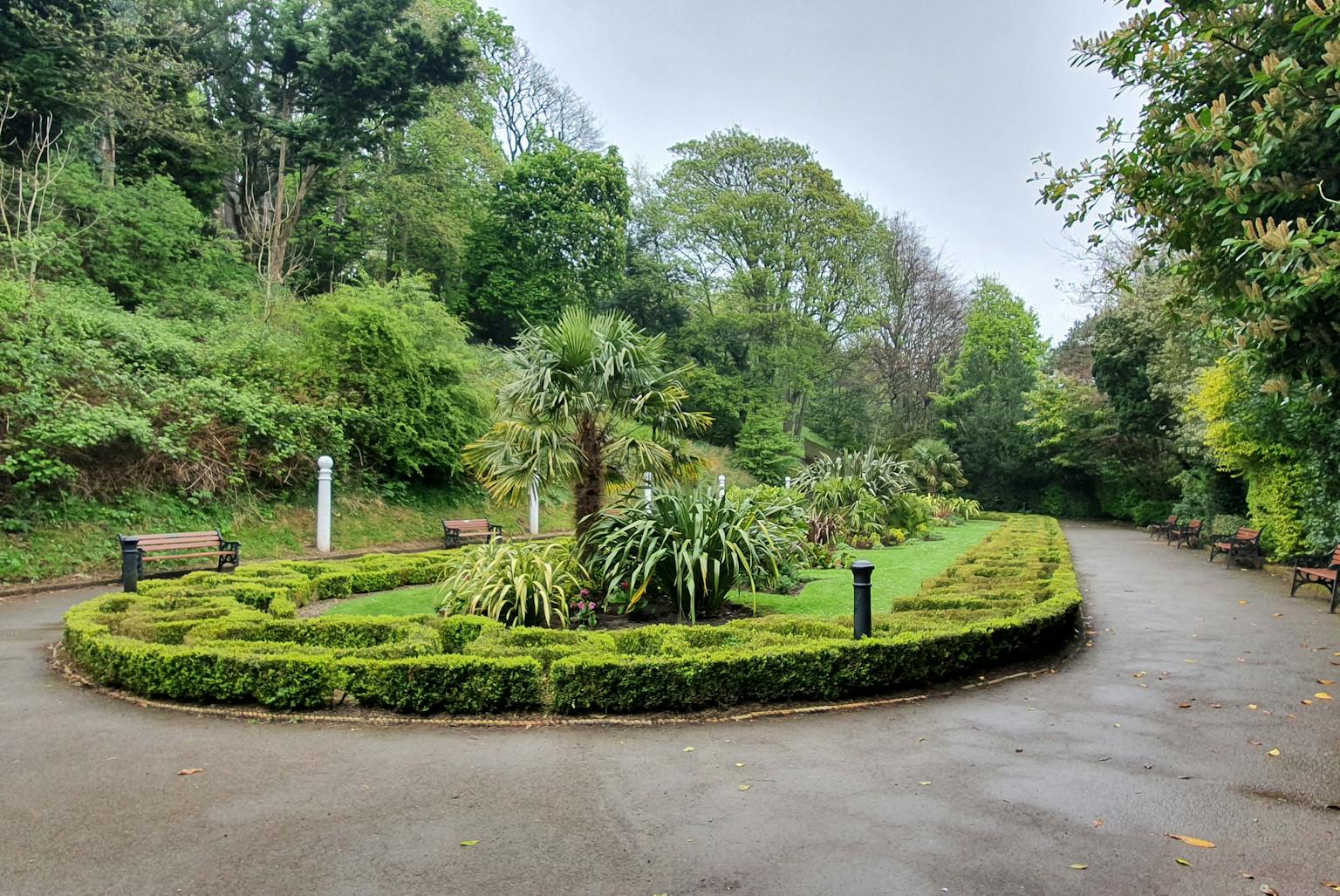 Road curved around island of green grass with trees and plants