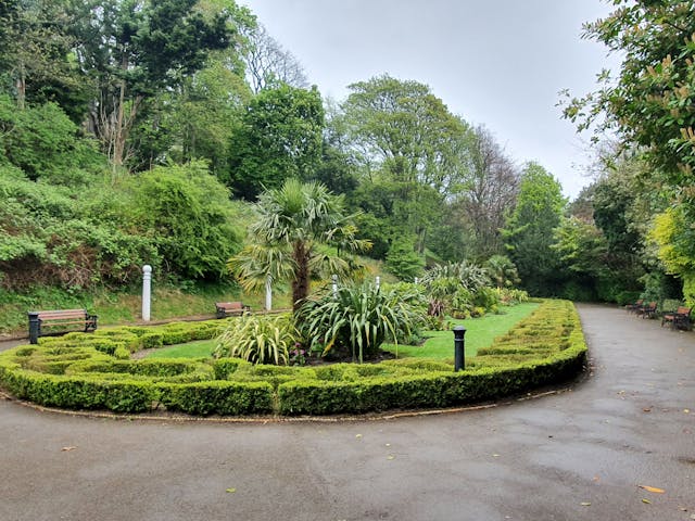 Road curved around island of green grass with trees and plants