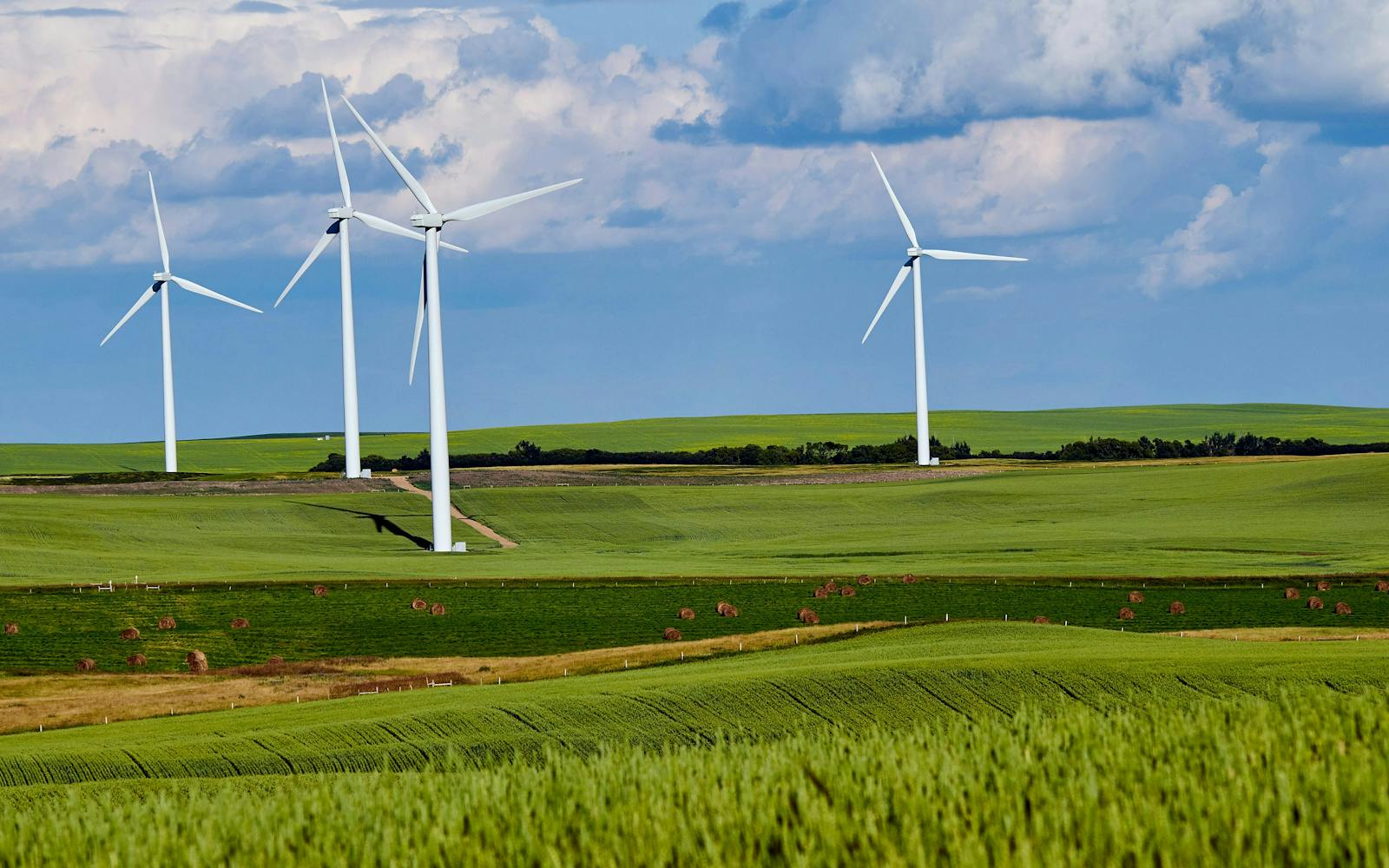 Four towering wind turbines stand in a vast green field of wheat under a blue sky with fluffy white clouds.