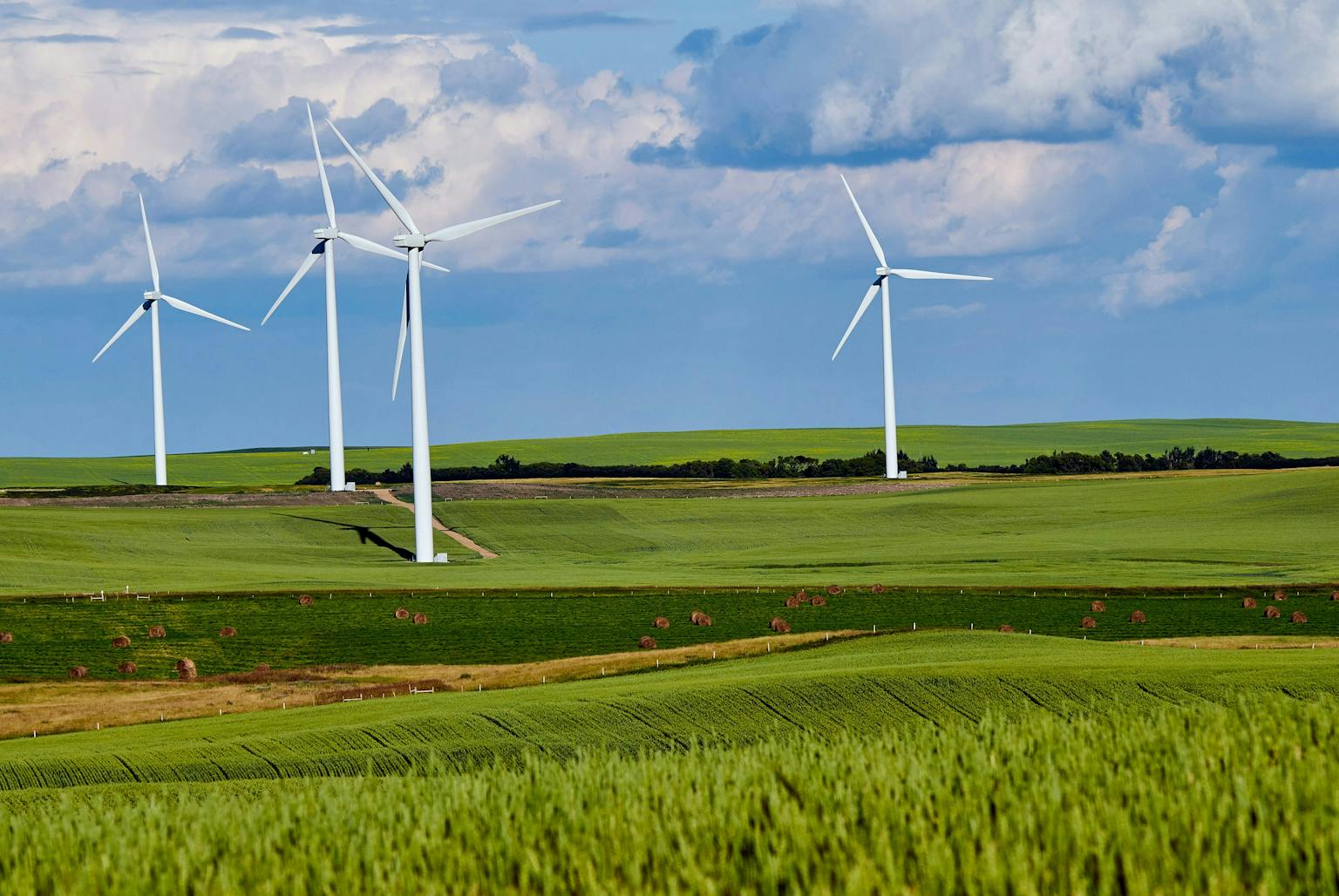 Four towering wind turbines stand in a vast green field of wheat under a blue sky with fluffy white clouds.