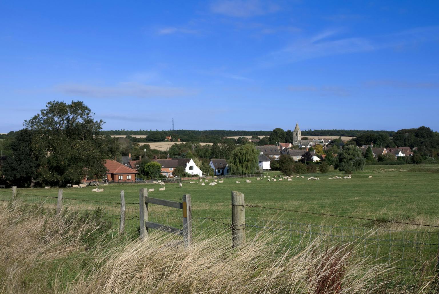 A picturesque rural landscape with a flock of sheep grazing in a green field, enclosed by a wooden fence, and a small village with a church steeple in the background under a clear blue sky.
