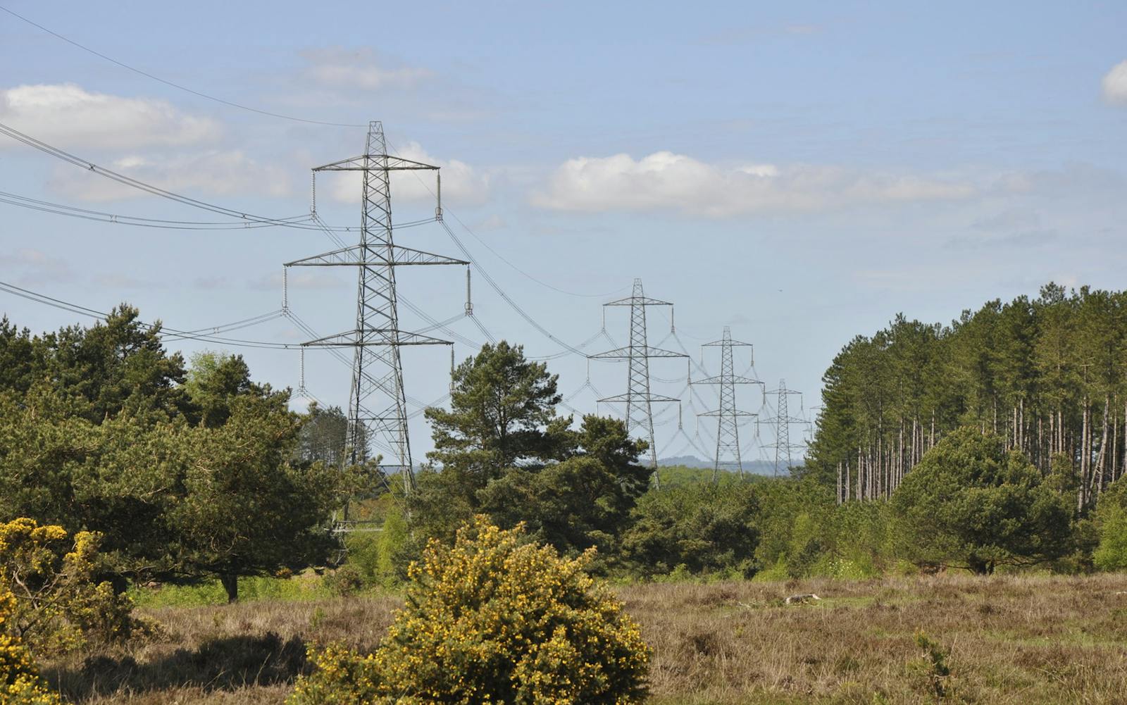 Overhead line running through area of woodland