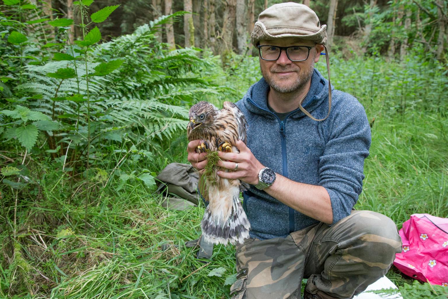 Person holding bird