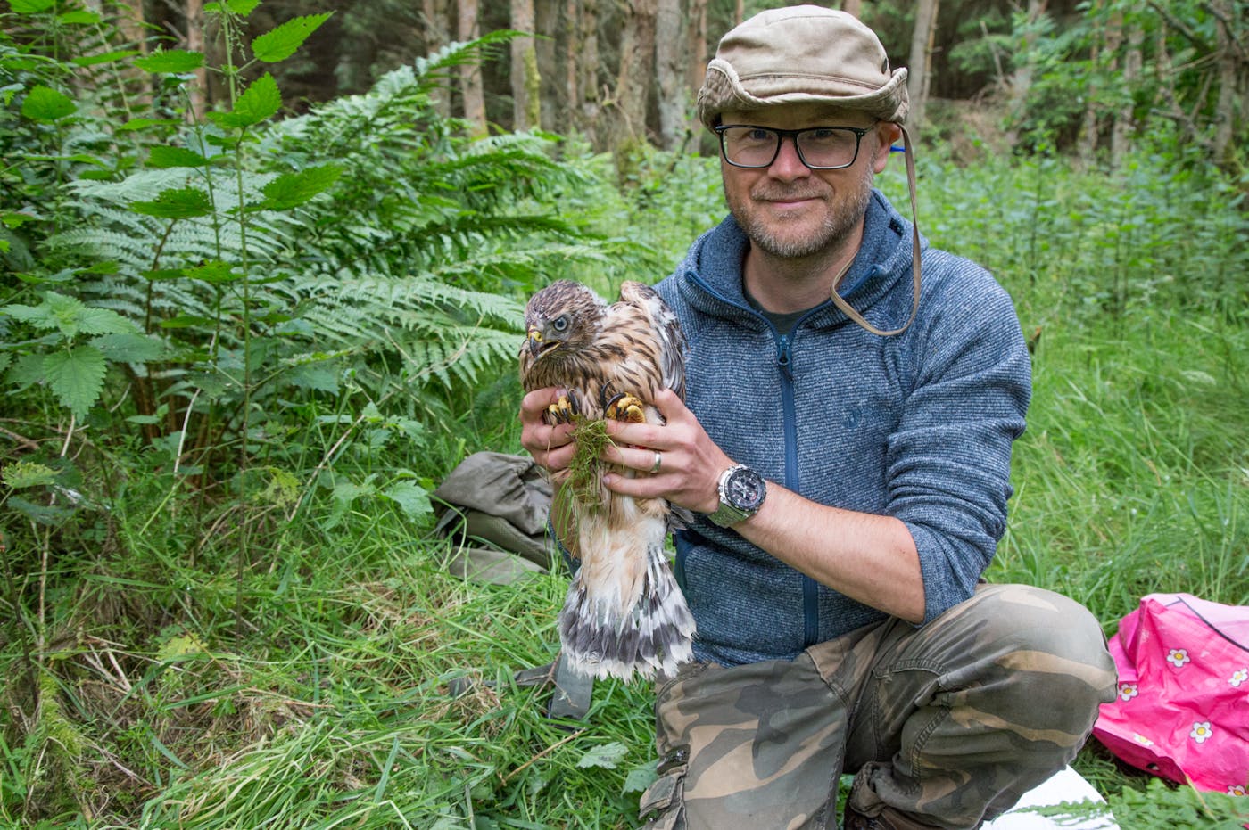 Person holding bird