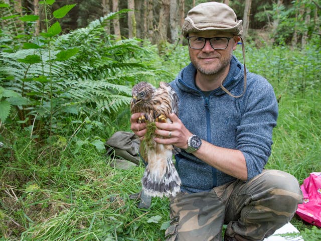Person holding bird