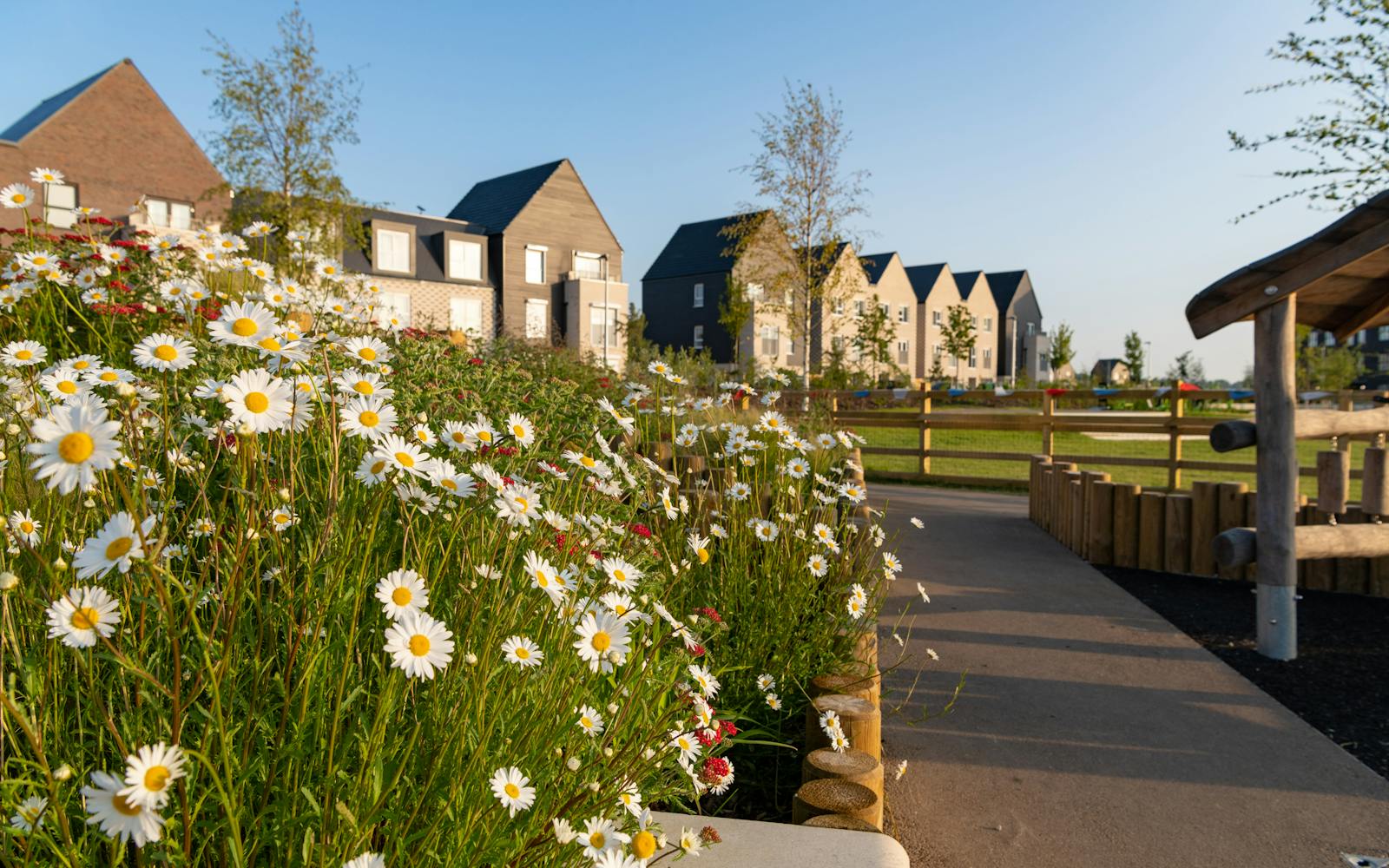 A row of houses in the background with flowers in the foreground