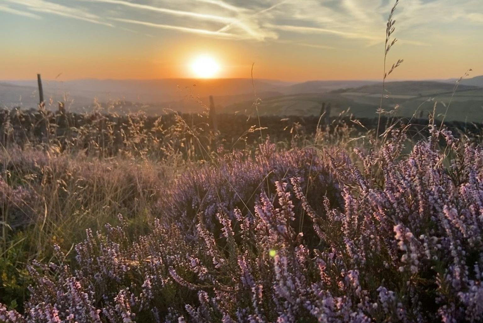 A stunning Derbyshire landscape with the sun setting on the horizon and purple heather in the foreground
