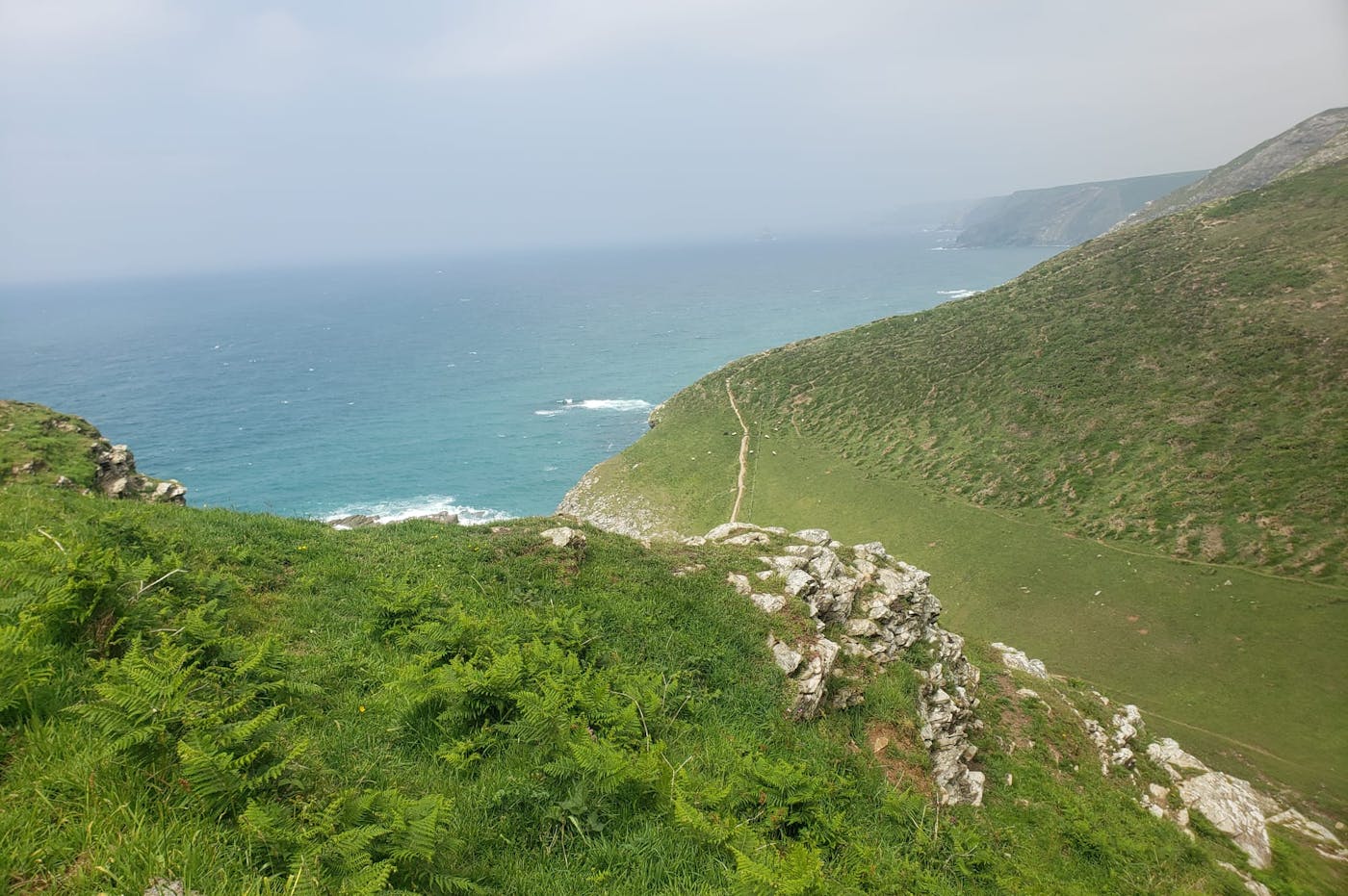 A scenic coastal landscape with a winding path leading down a steep cliff to the ocean. Lush green grass covers the cliffside, with rocky outcroppings and ferns adding texture. The ocean is a deep blue, with whitecaps visible on the waves.