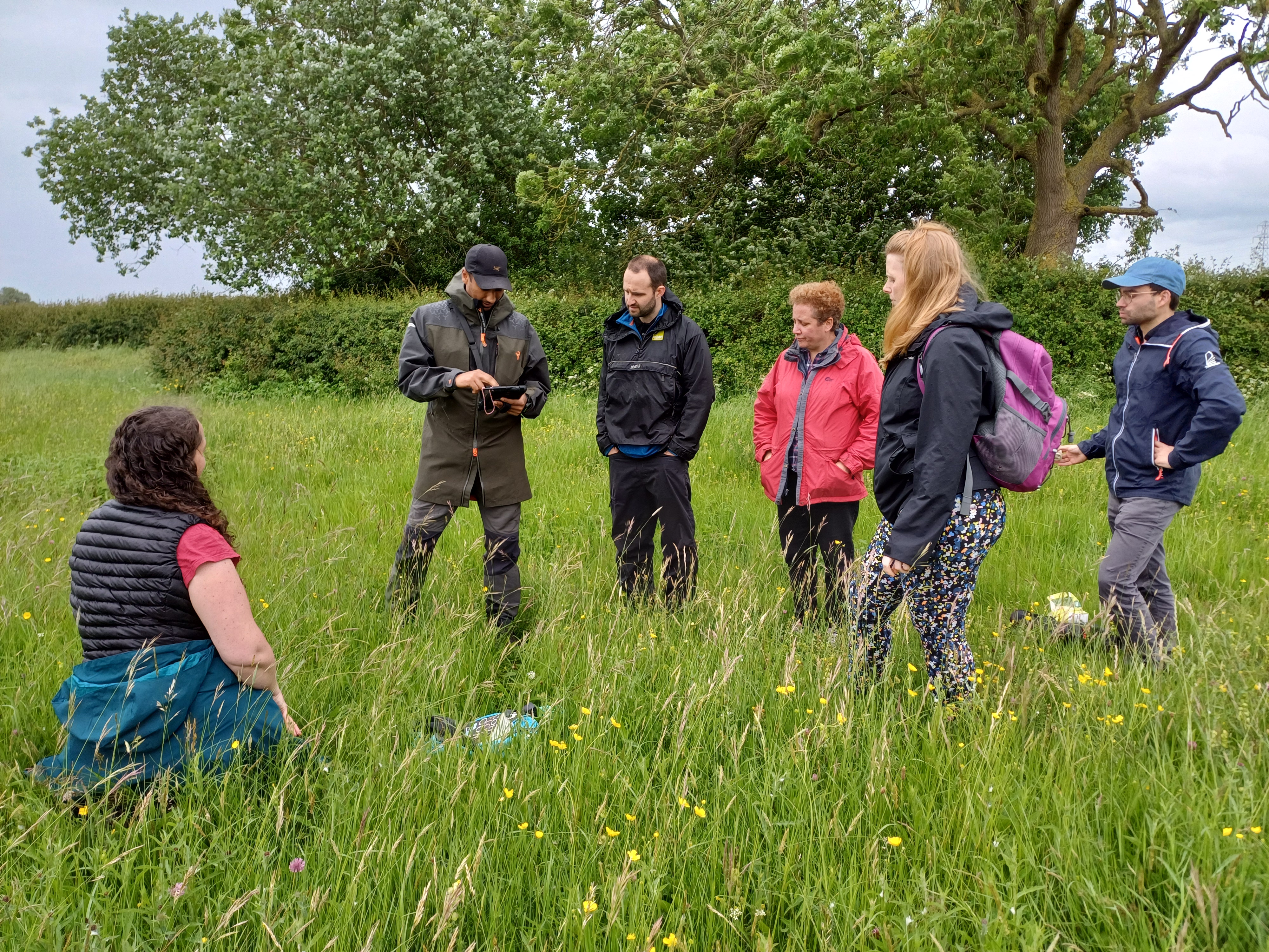 A group of six people stands in a field of tall grass, engaged in conversation. One person sits while the others stand, wearing outdoor gear and jackets. The scene appears to be a meeting or discussion in a natural environment, with trees and hedges in the background on a cloudy day.
