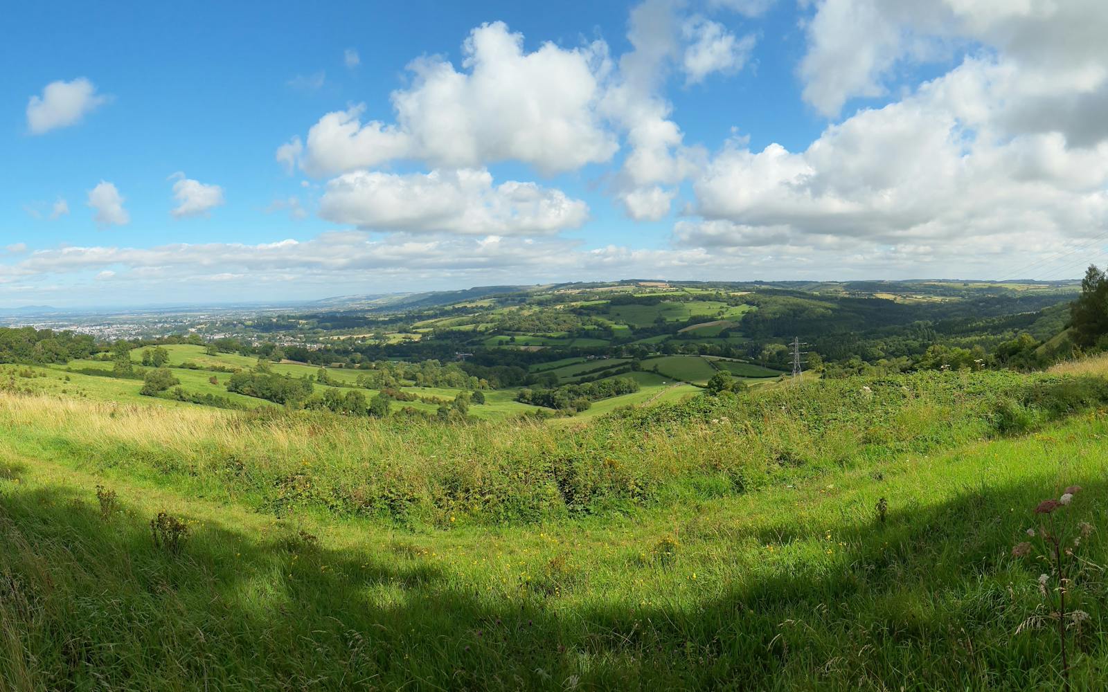 A panoramic view of rolling green hills with a clear blue sky and white clouds. A city can be seen in the distance.