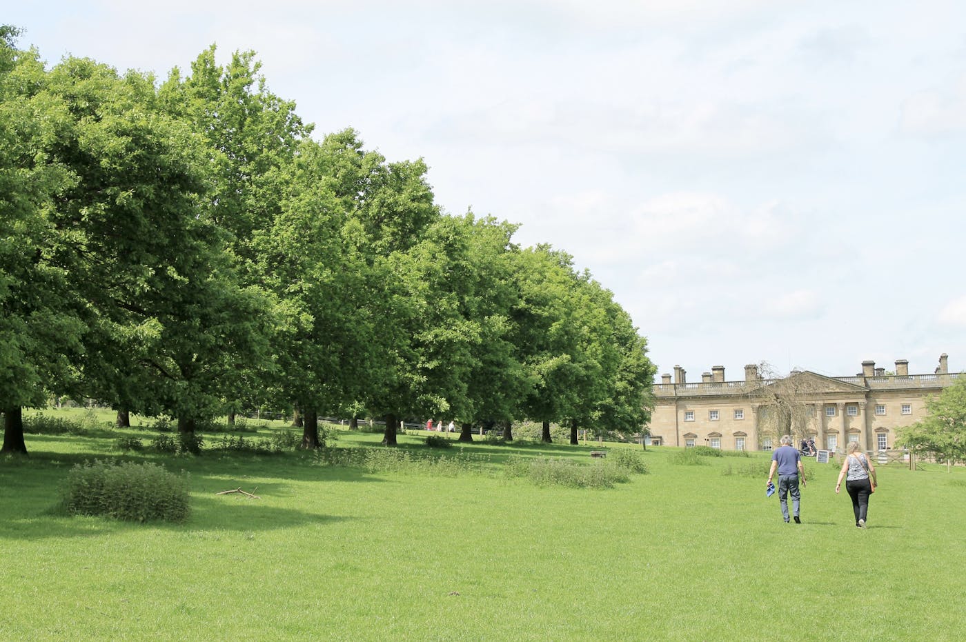 A stately home with an avenue of trees leading to it