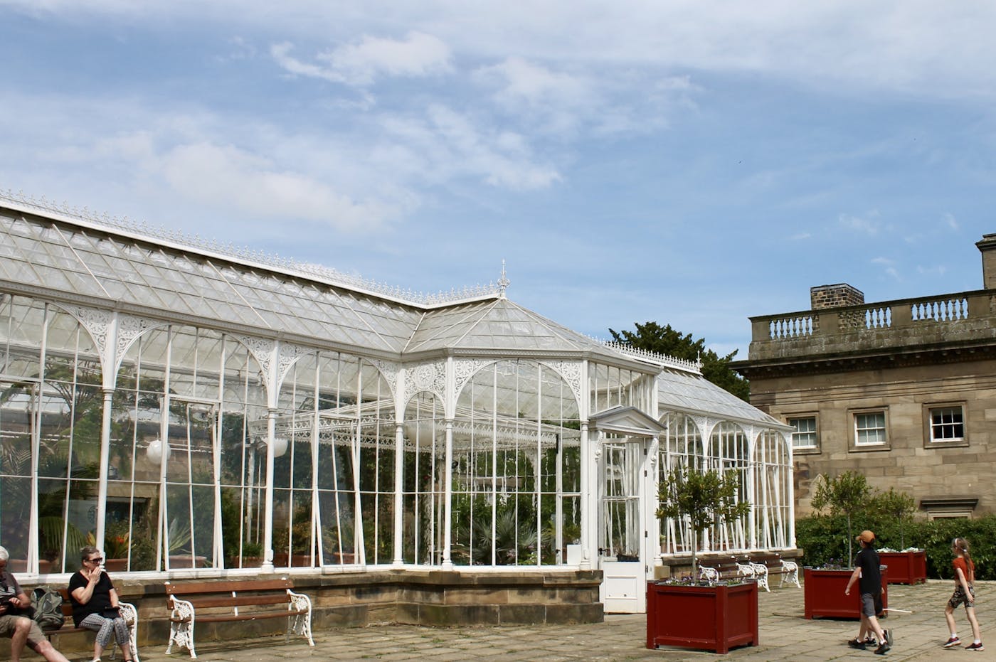 A large glass house with tropical plants