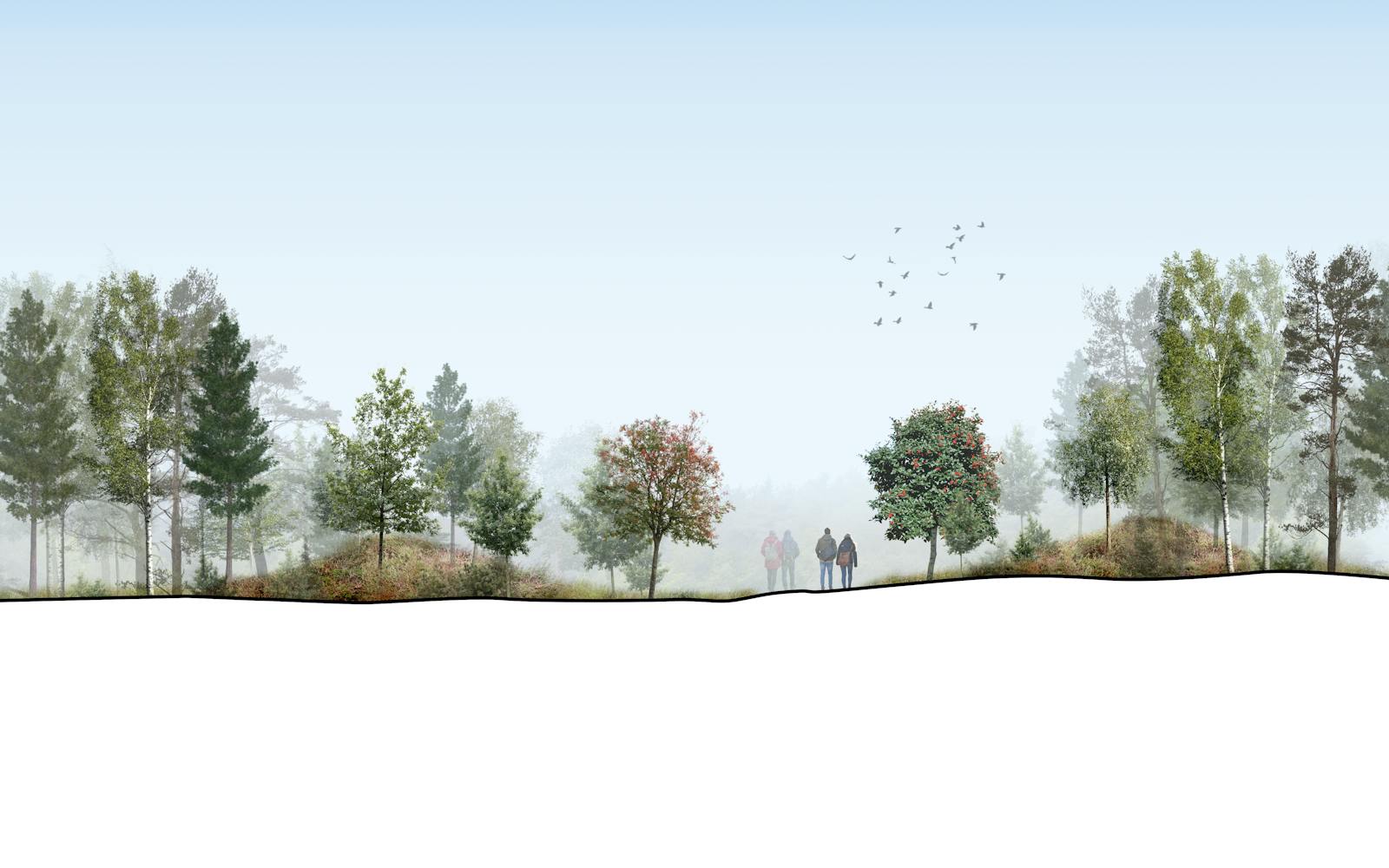 A graphic of some trees