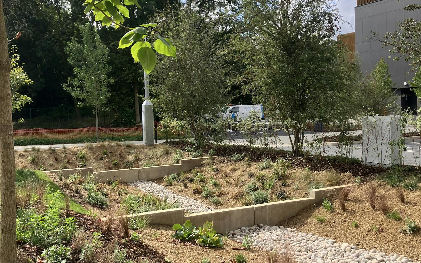 A landscaped garden area with tiered plant beds and gravel paths, surrounded by trees.