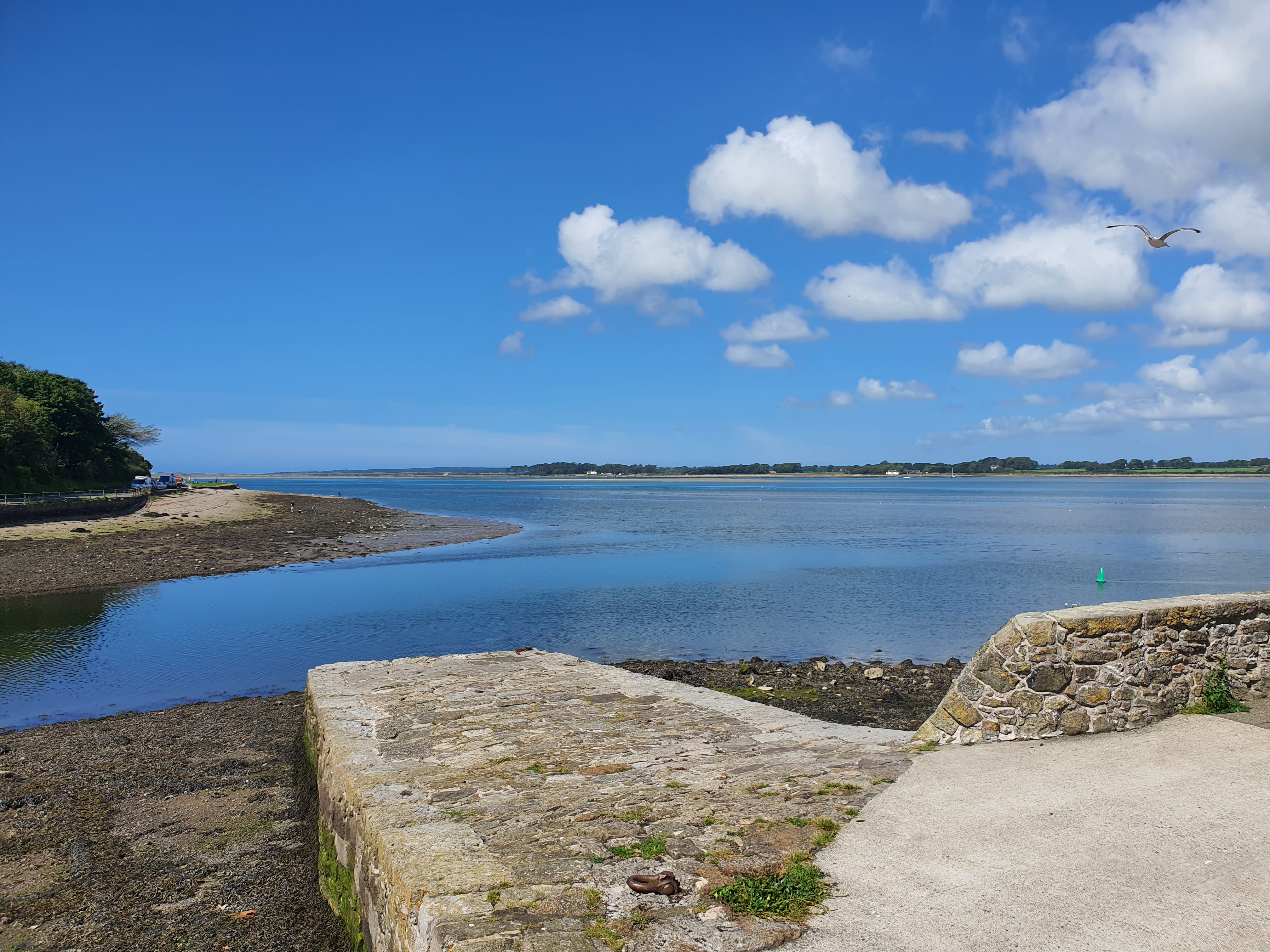 A view of a river estuary with a clear blue sky and white clouds.
