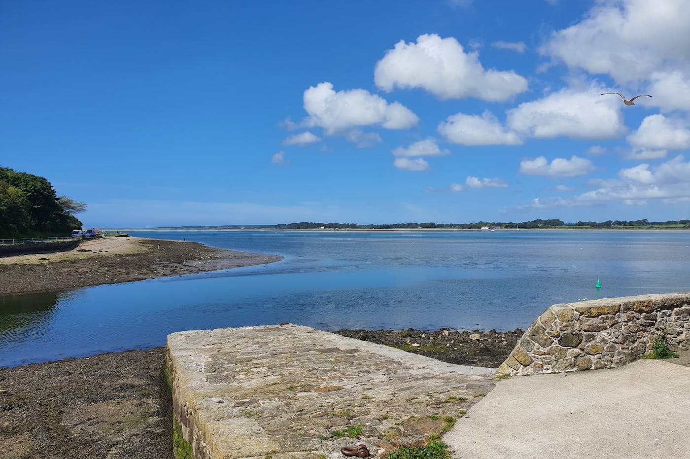A view of a river estuary with a clear blue sky and white clouds.