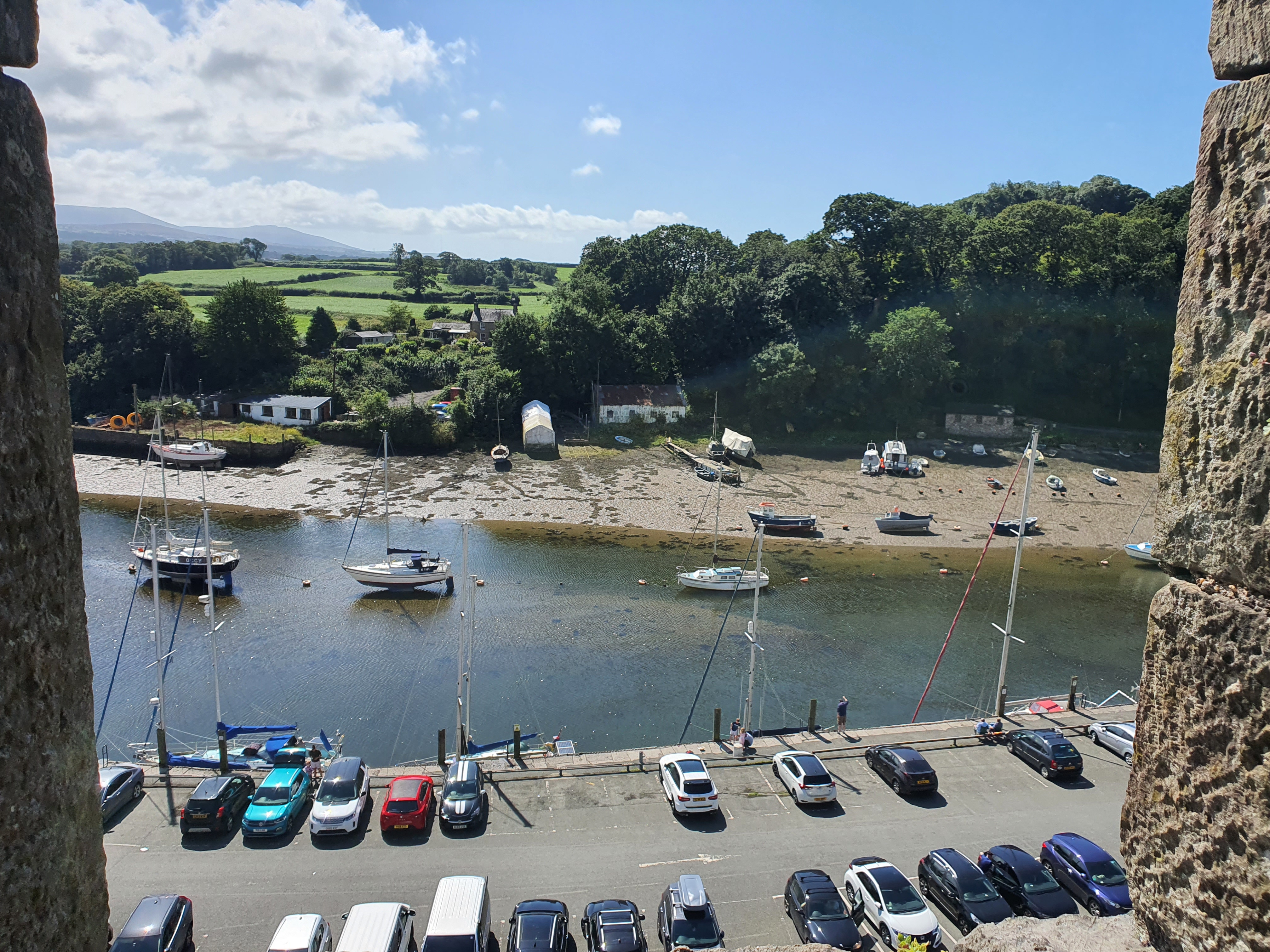 A view of a river with boats docked at the shore. There are buildings and trees in the background.