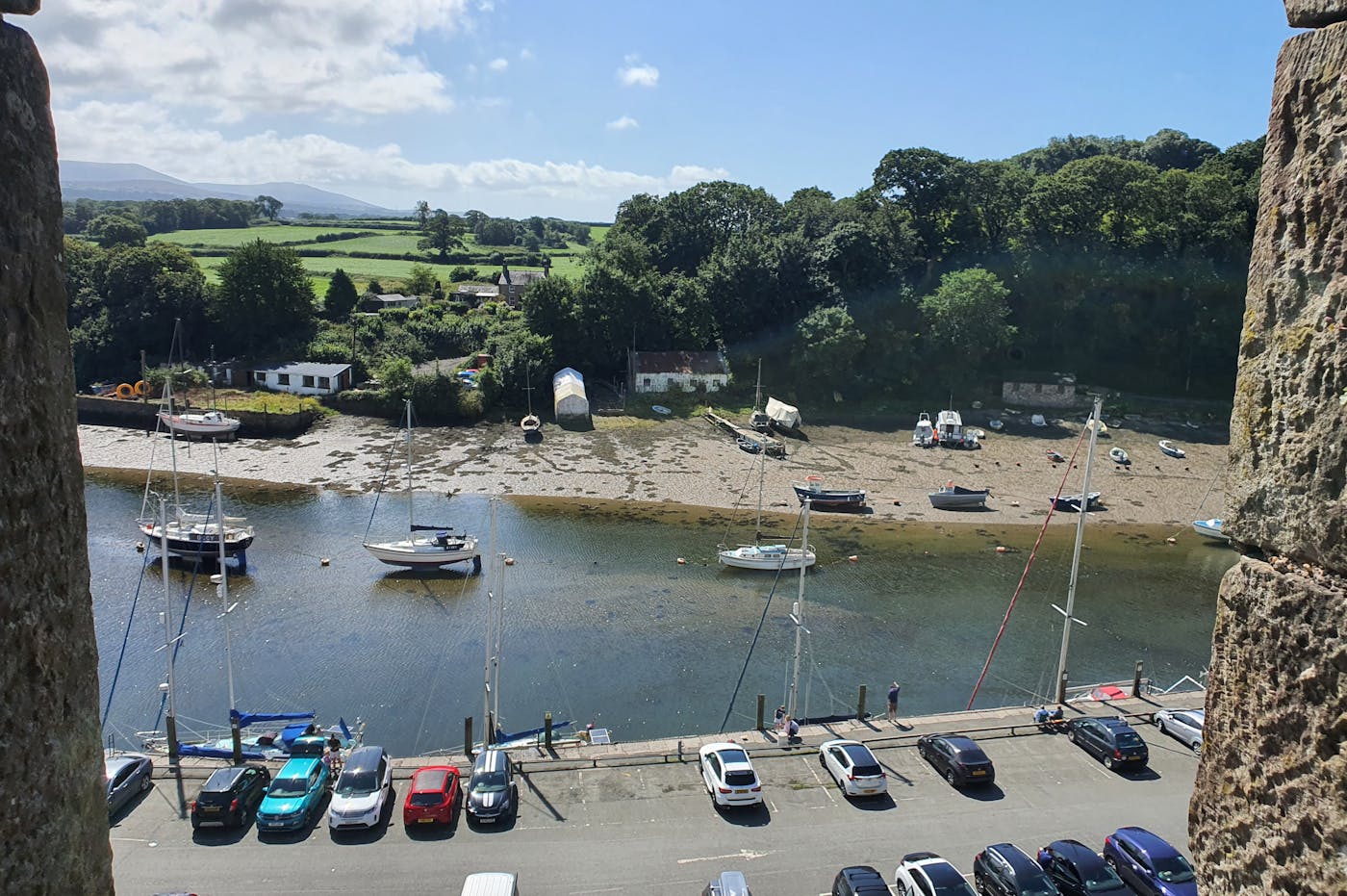 A view of a river with boats docked at the shore. There are buildings and trees in the background.