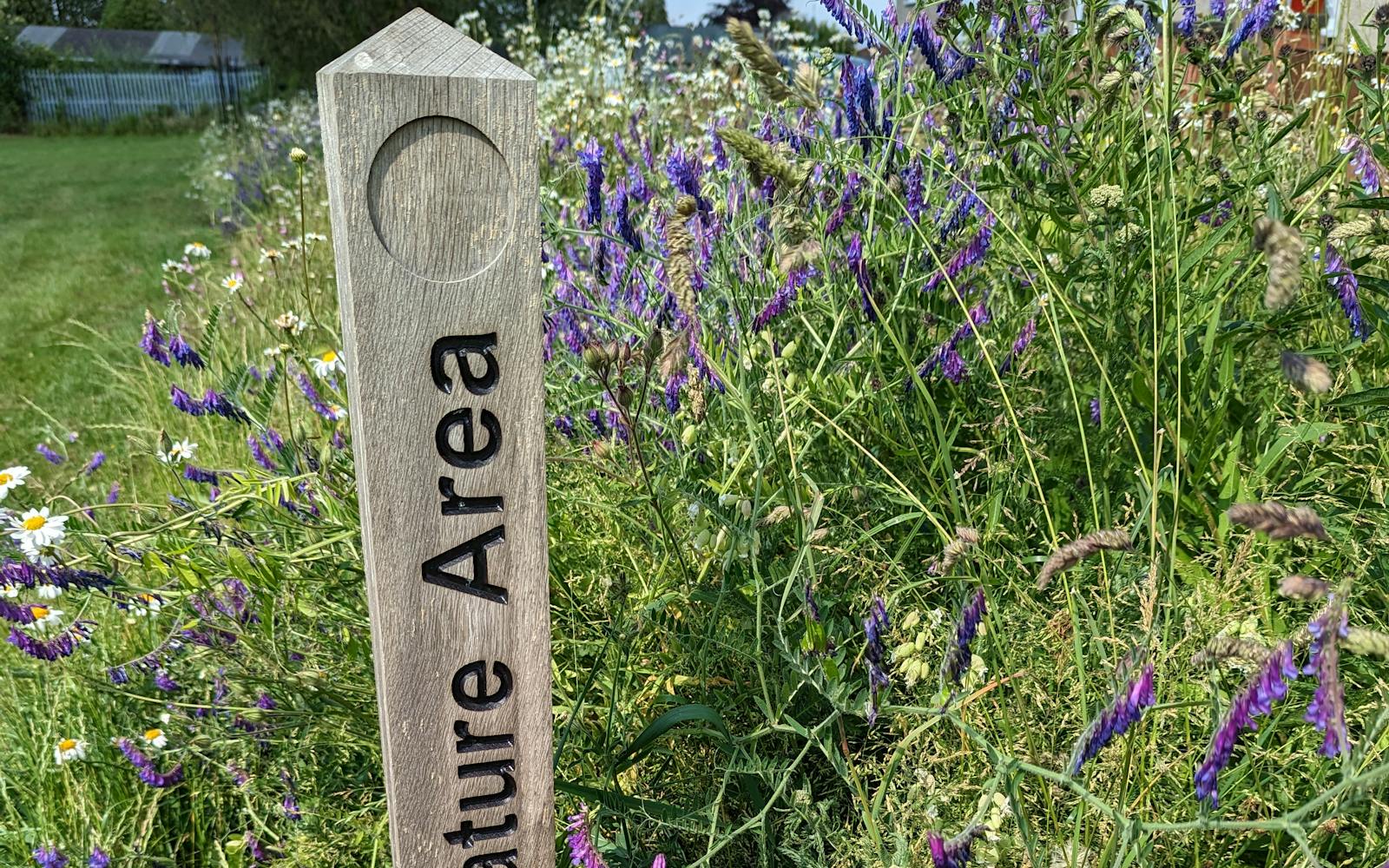 Wild flowers growing next to a wooden marker that says 'nature area'