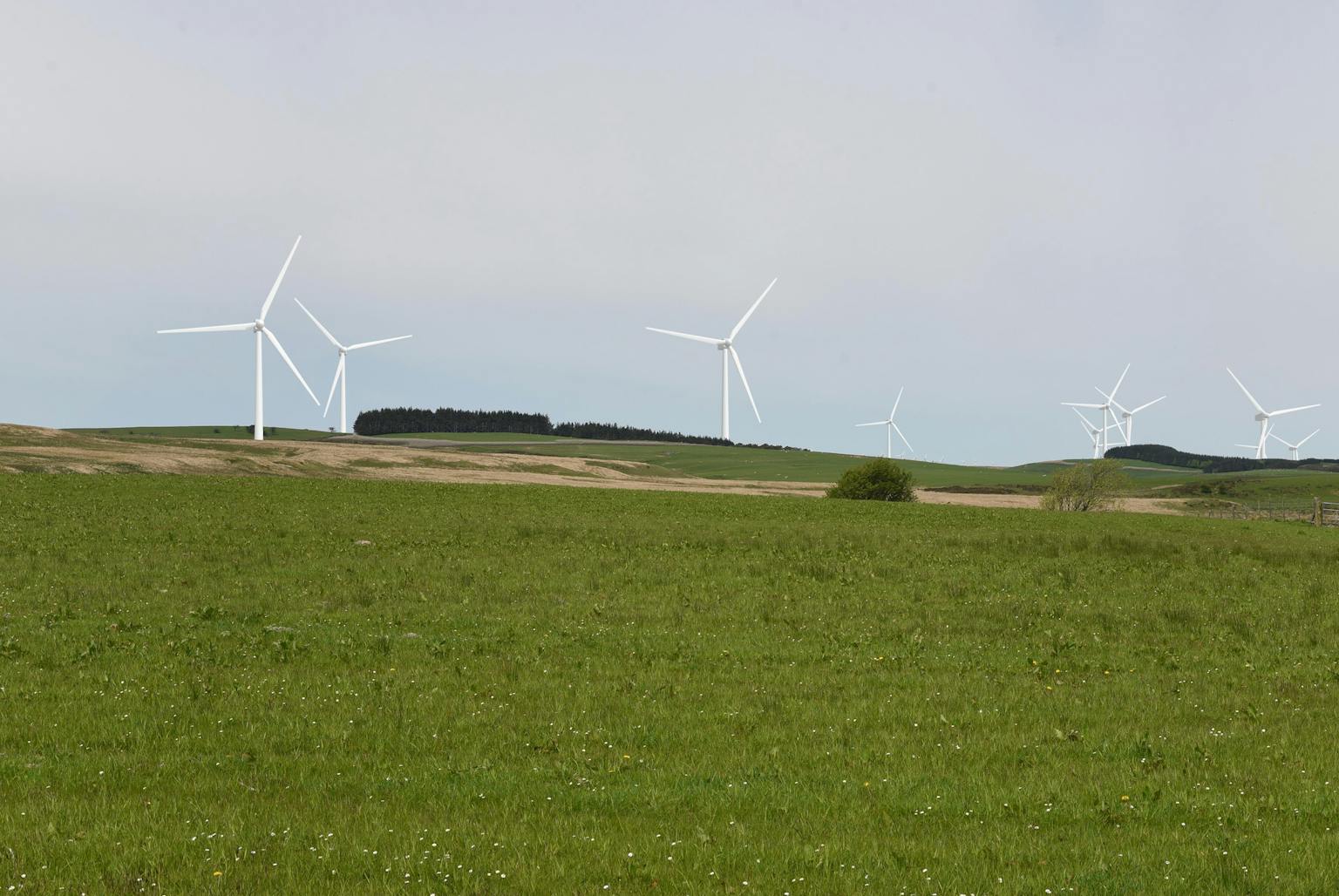 A field of wind turbines with a green grassy foreground and a cloudy sky.