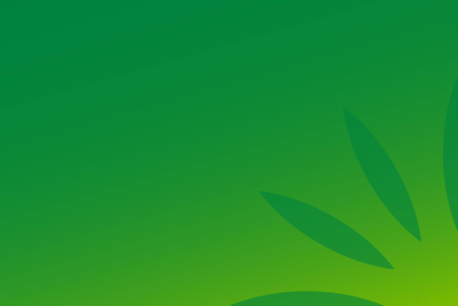 Green background with a sunburst in the bottom right corner.