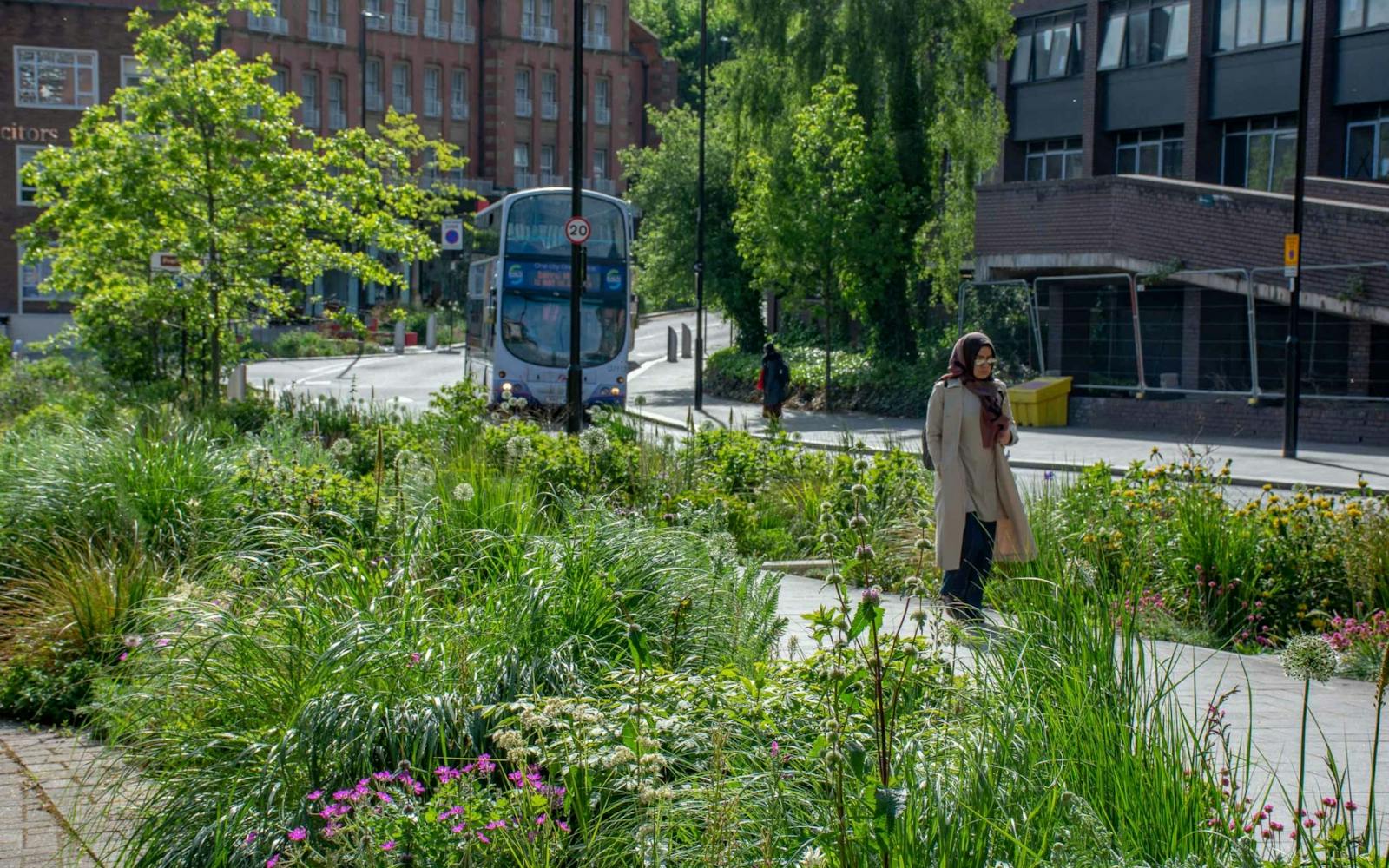 A person walking through city streets surrounded by plants - there is a bus and an office building in the background