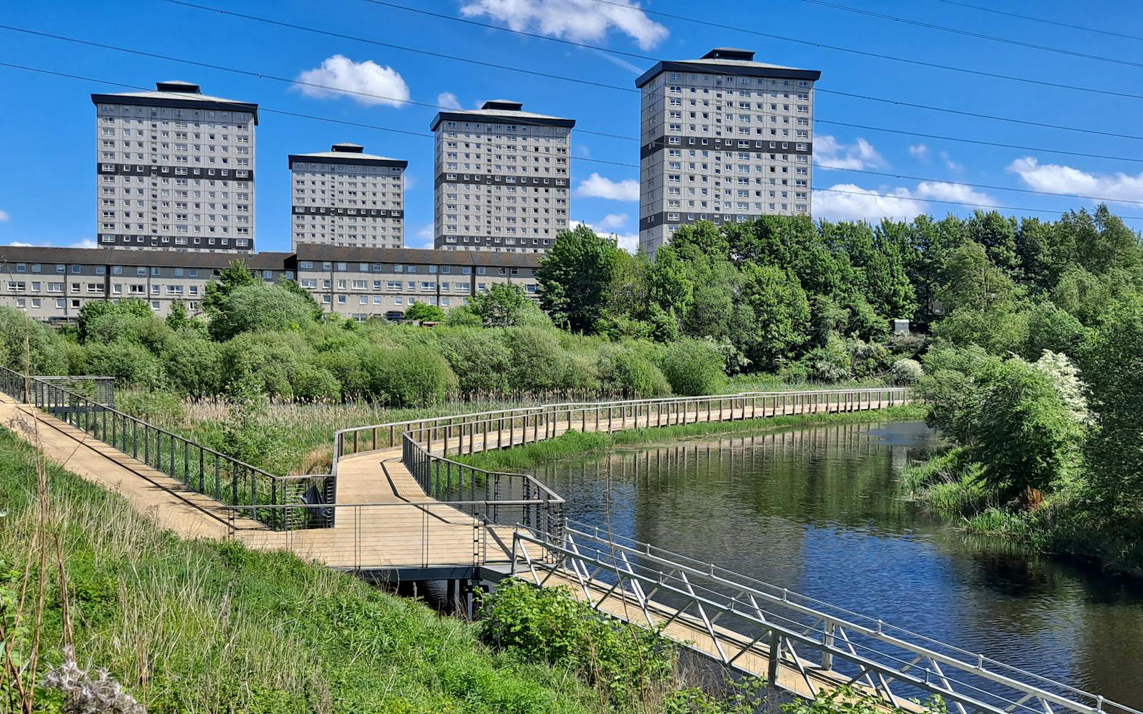 Trees and water with high rise buildings overlooking