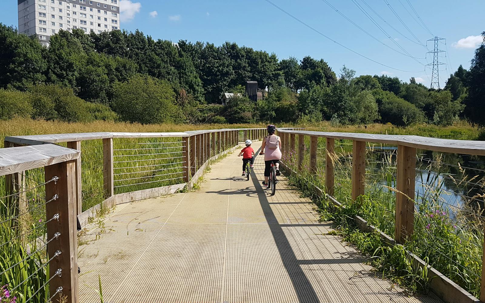 Children riding bikes along a cycle path surrounded by plants and water with a high rise building in the background