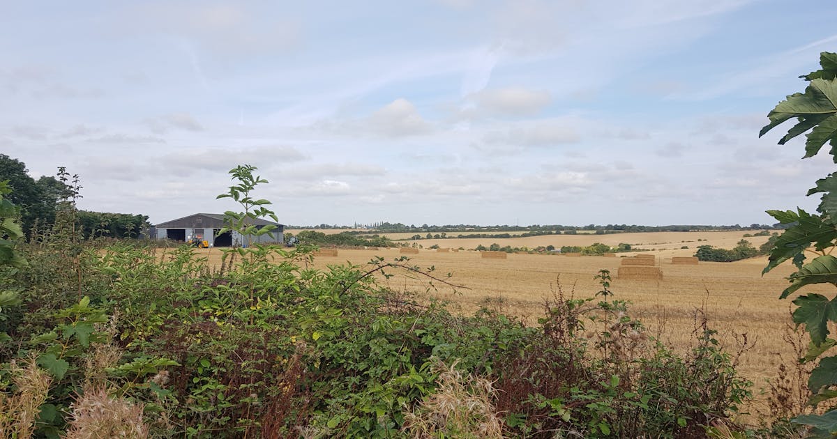 Uttlesford District Council appoints LUC to deliver Landscape