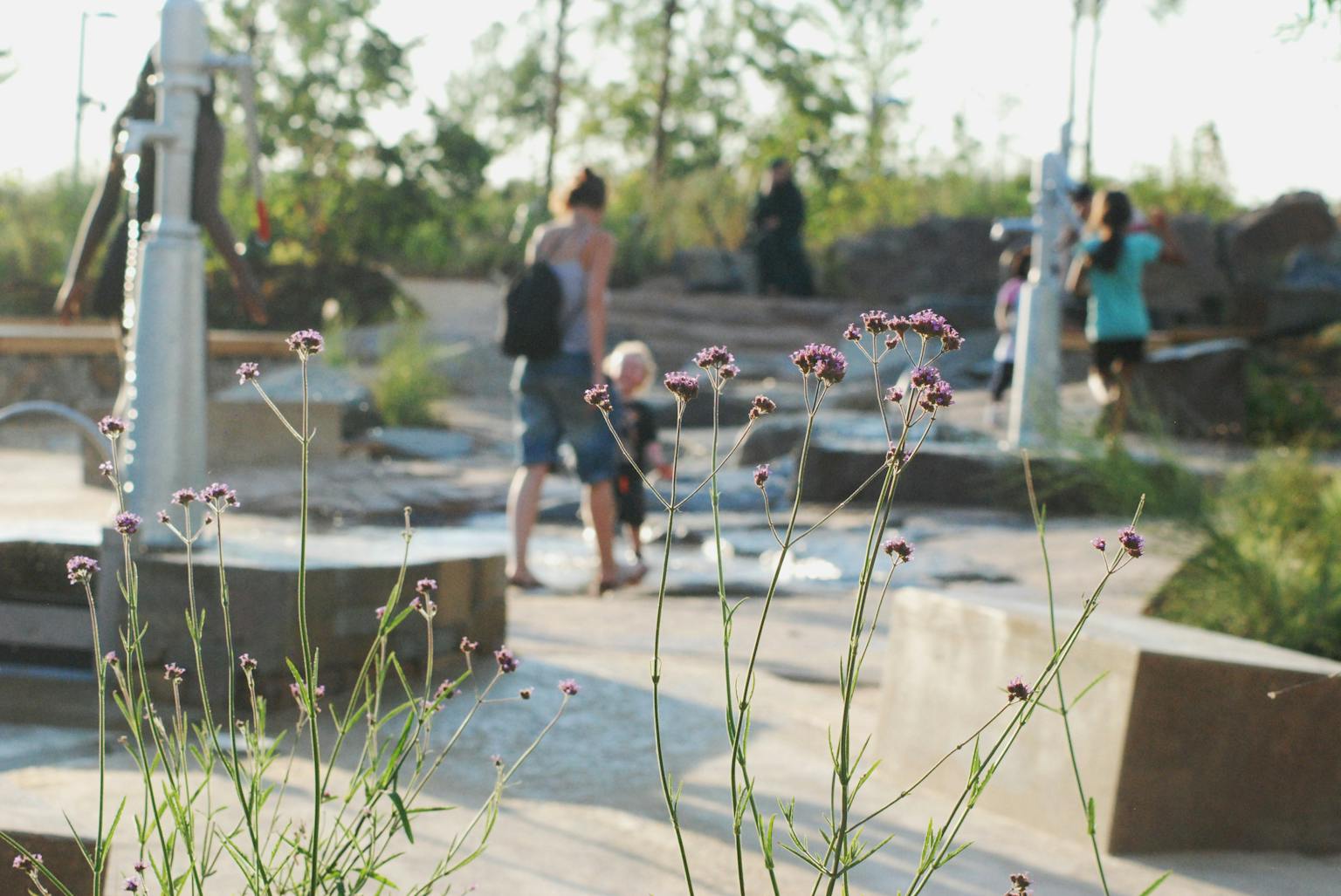 Children and parents playing in park with water behind pink flowers