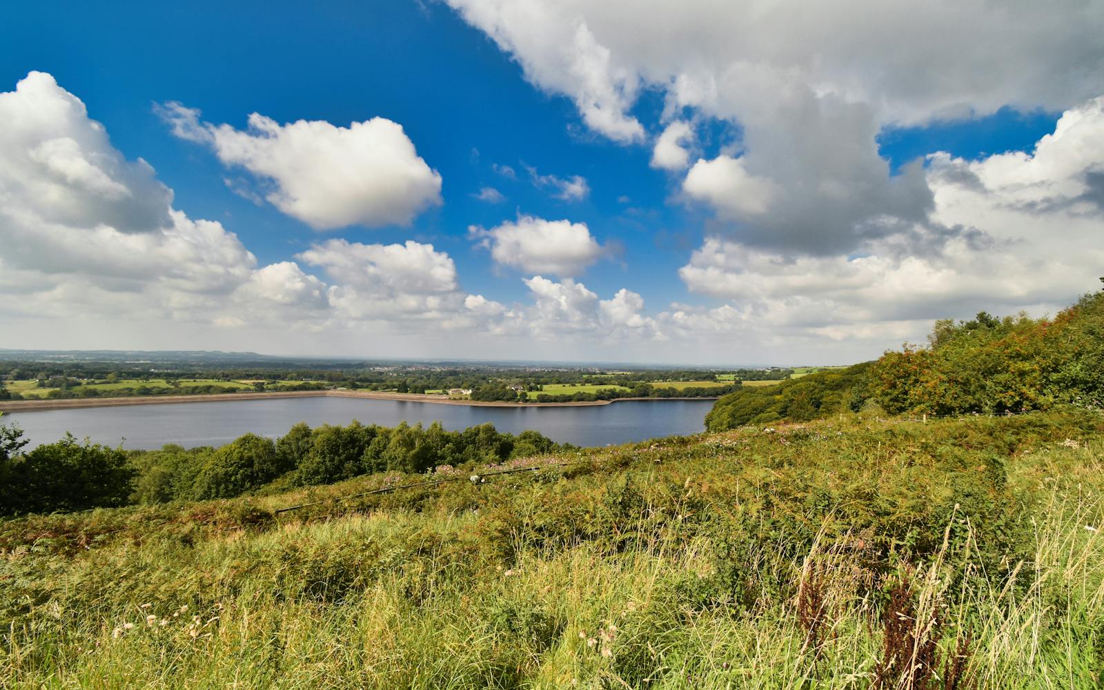 A British landscape with grass, trees, water and blue skies