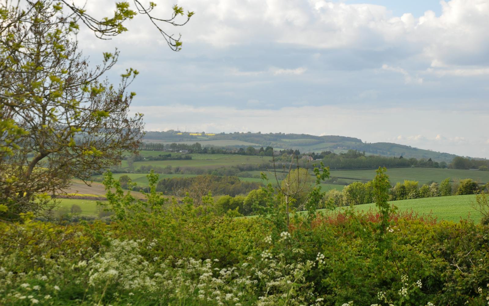 A British landscape