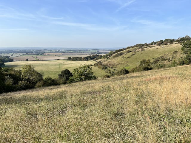 The quiet power of landscape
