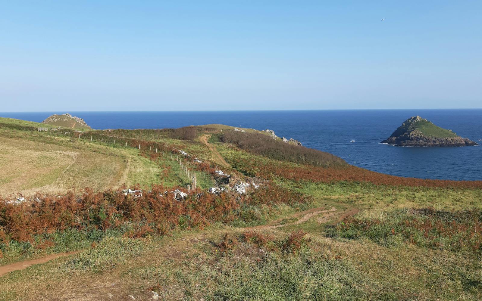 A scenic view of a grassy, hilly coastline meeting the blue ocean, with a small, rocky island in the distance under a clear sky.
