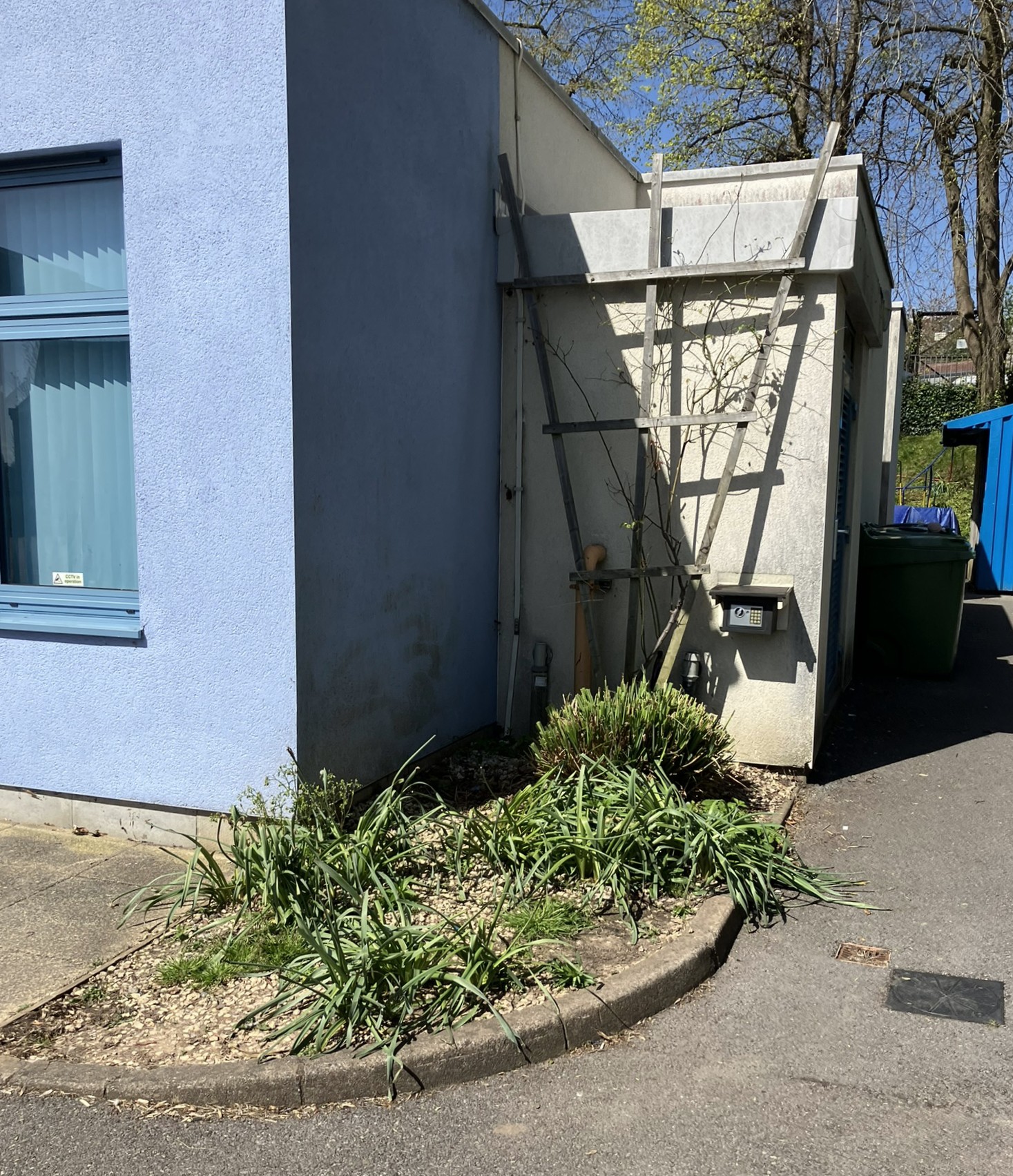 A bare and neglected patch of earth outside a school building