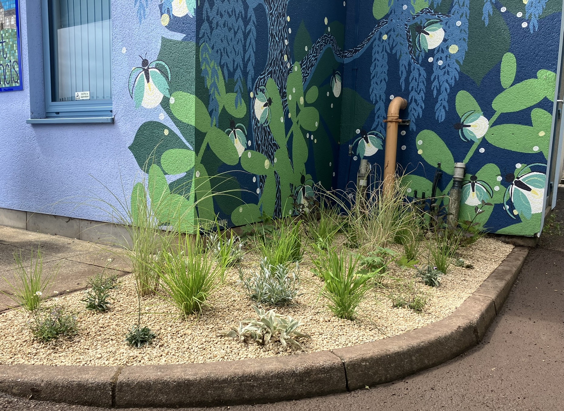 A sandbed with planting and a vibrant blue mural on the building in the background