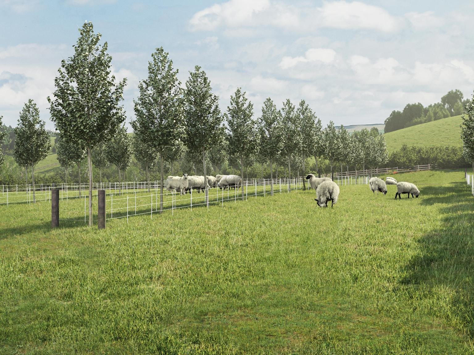 A visual representation of sheep in fields