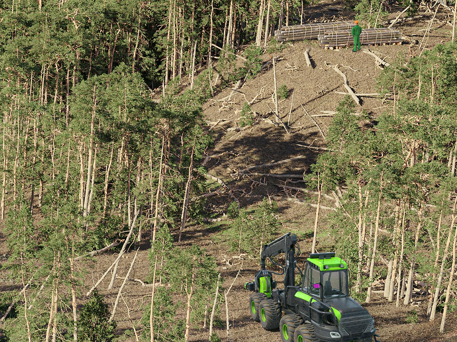 A visual representation a forest site with heavy plant machinery