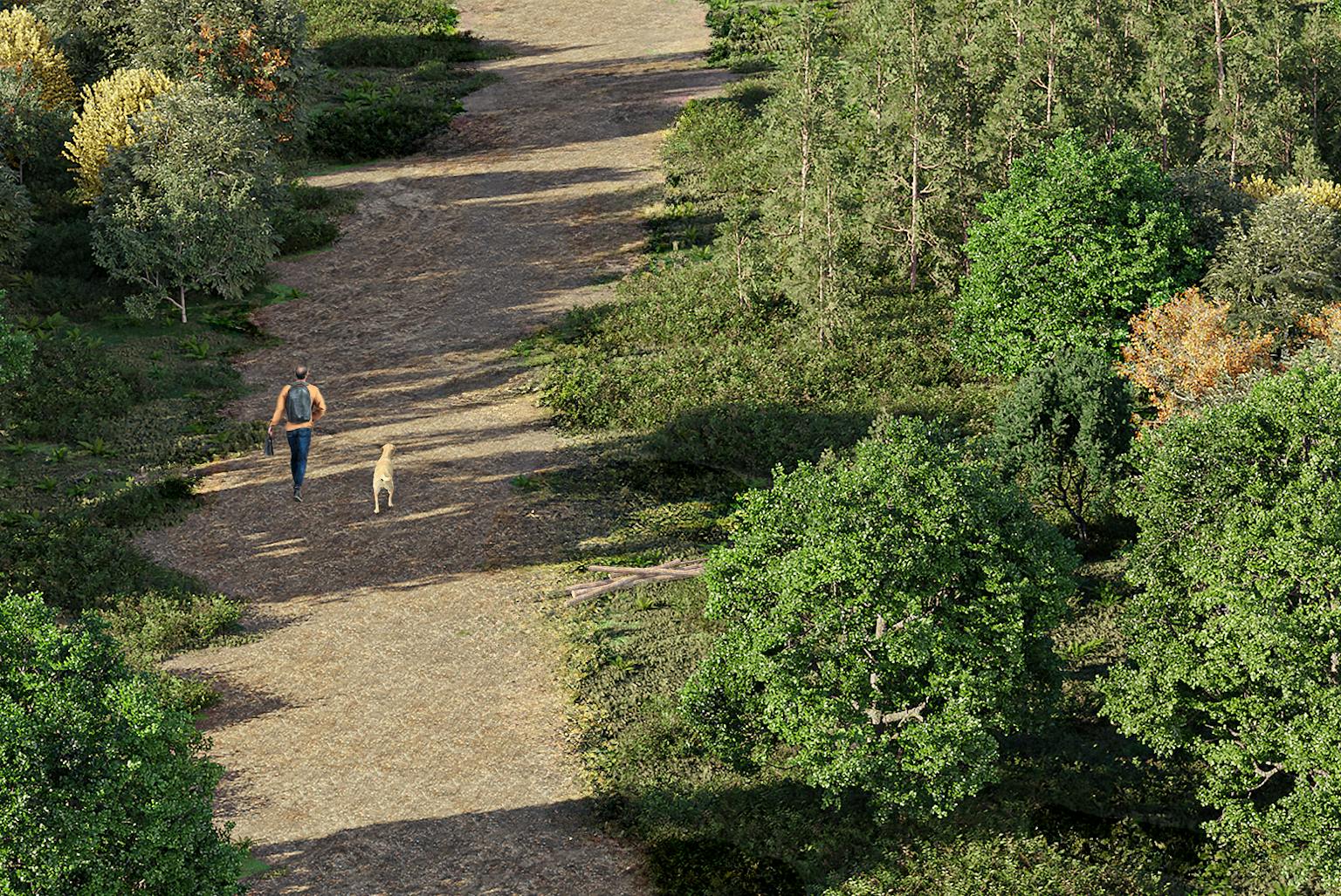 A visual representation of a person walking a dog through a forest