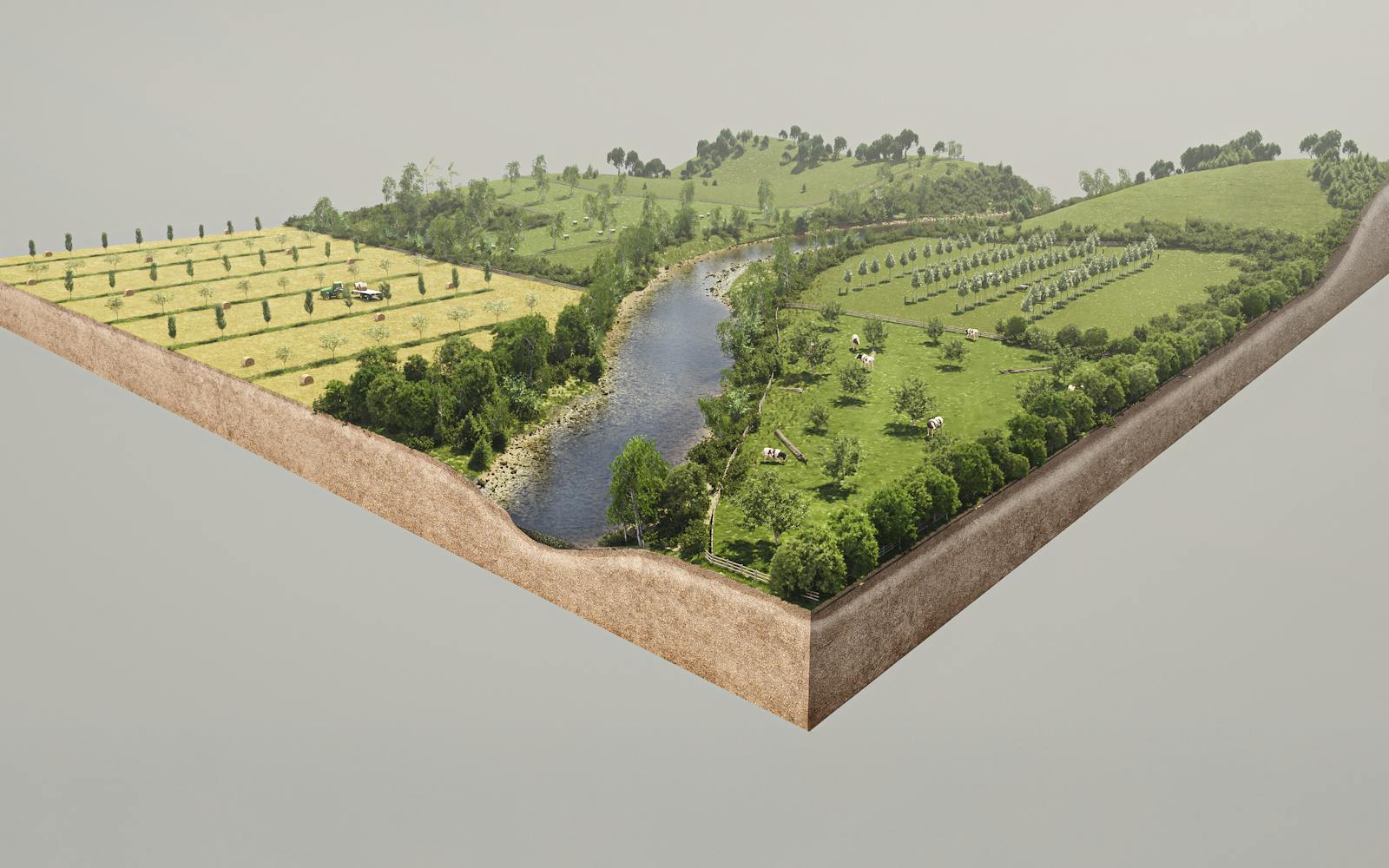 A visual representation of a slice of land with trees and a river