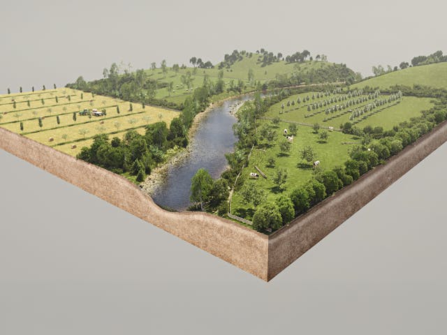 A slice of land with trees and a river