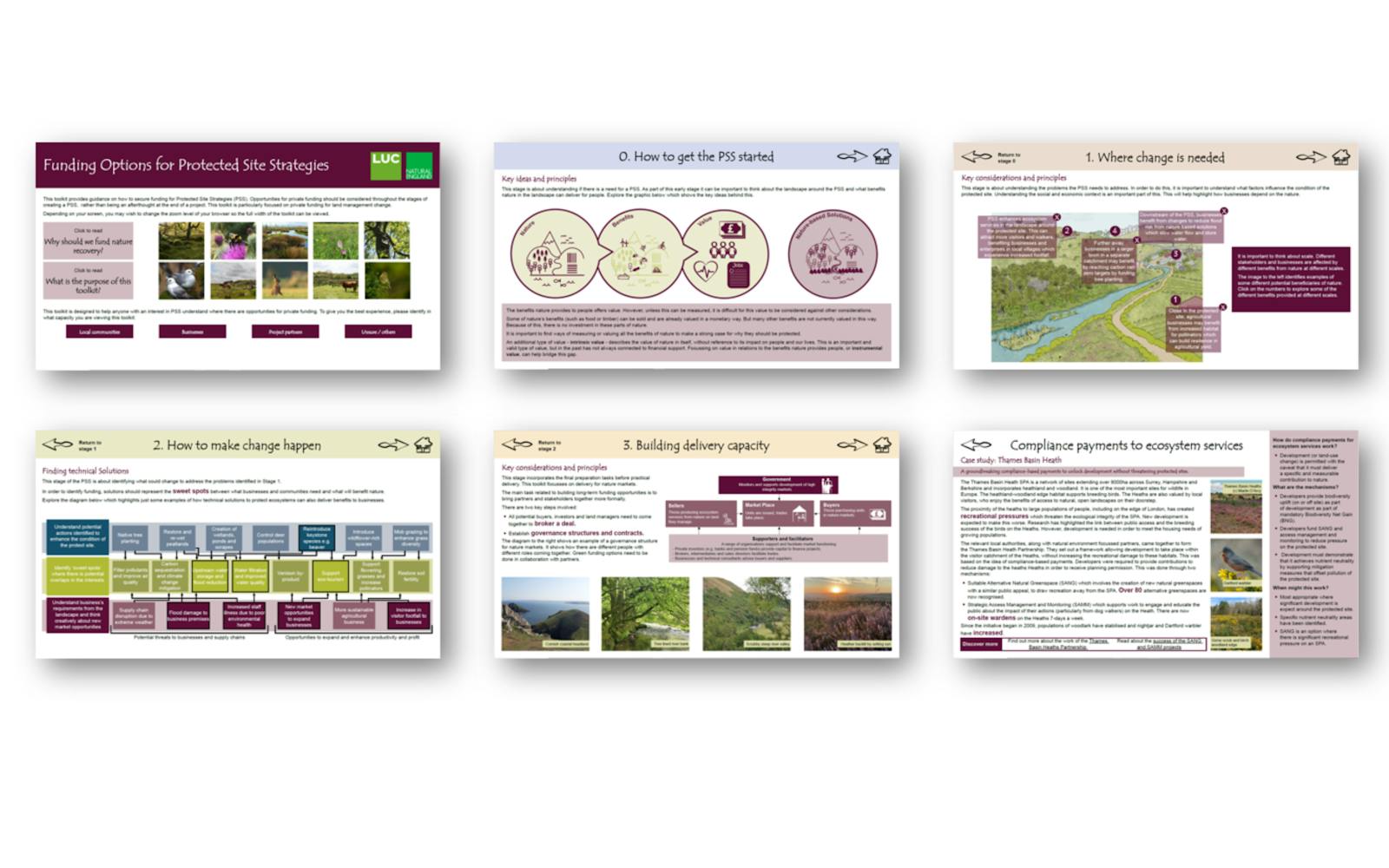 A six-slide presentation with the main title "Funding Options for Protected Site Strategies" visible on the first slide. Each slide contains a mix of text, diagrams, and images related to the topic of funding and managing protected sites.