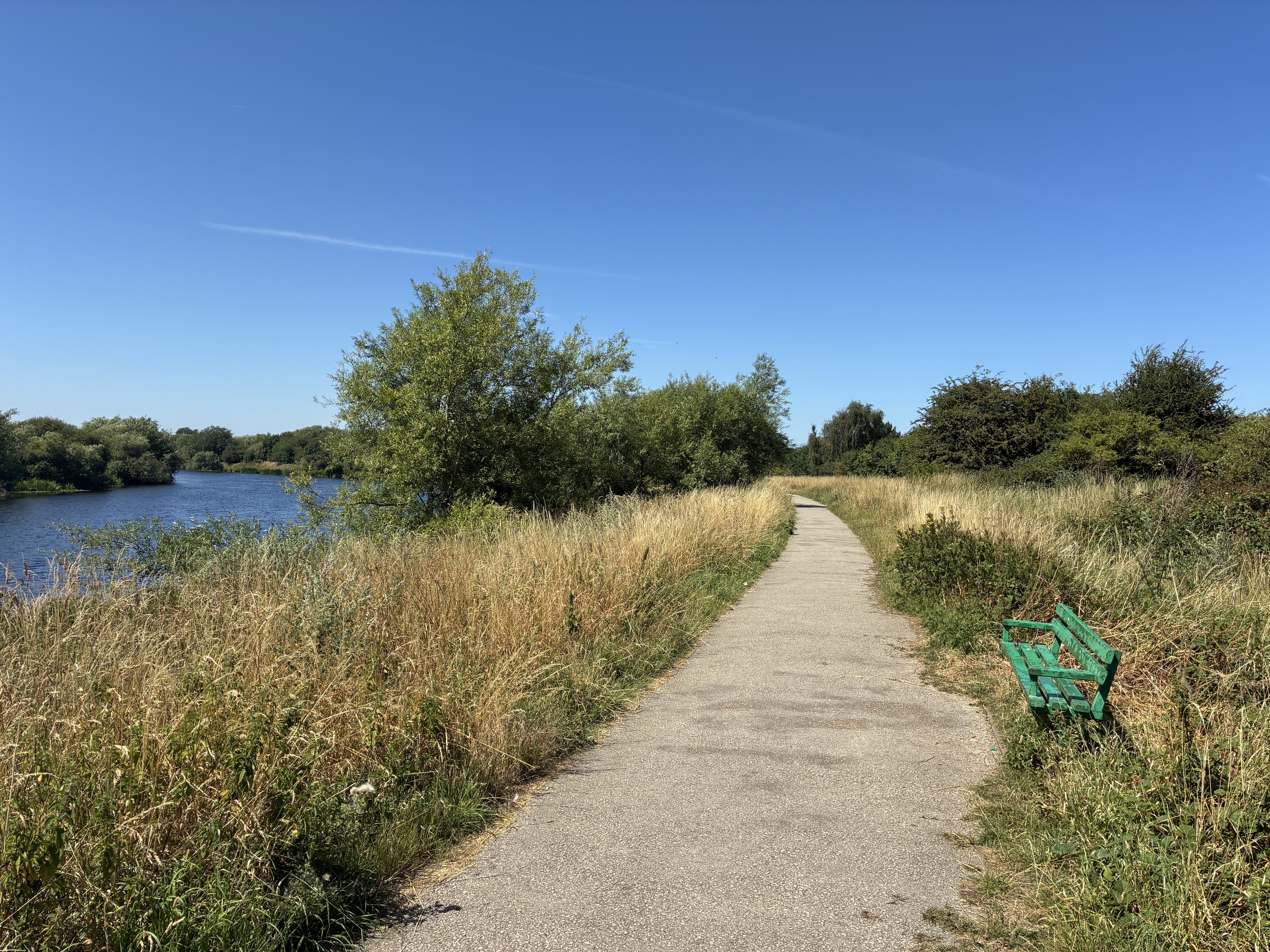 A path next to a river with blue skies