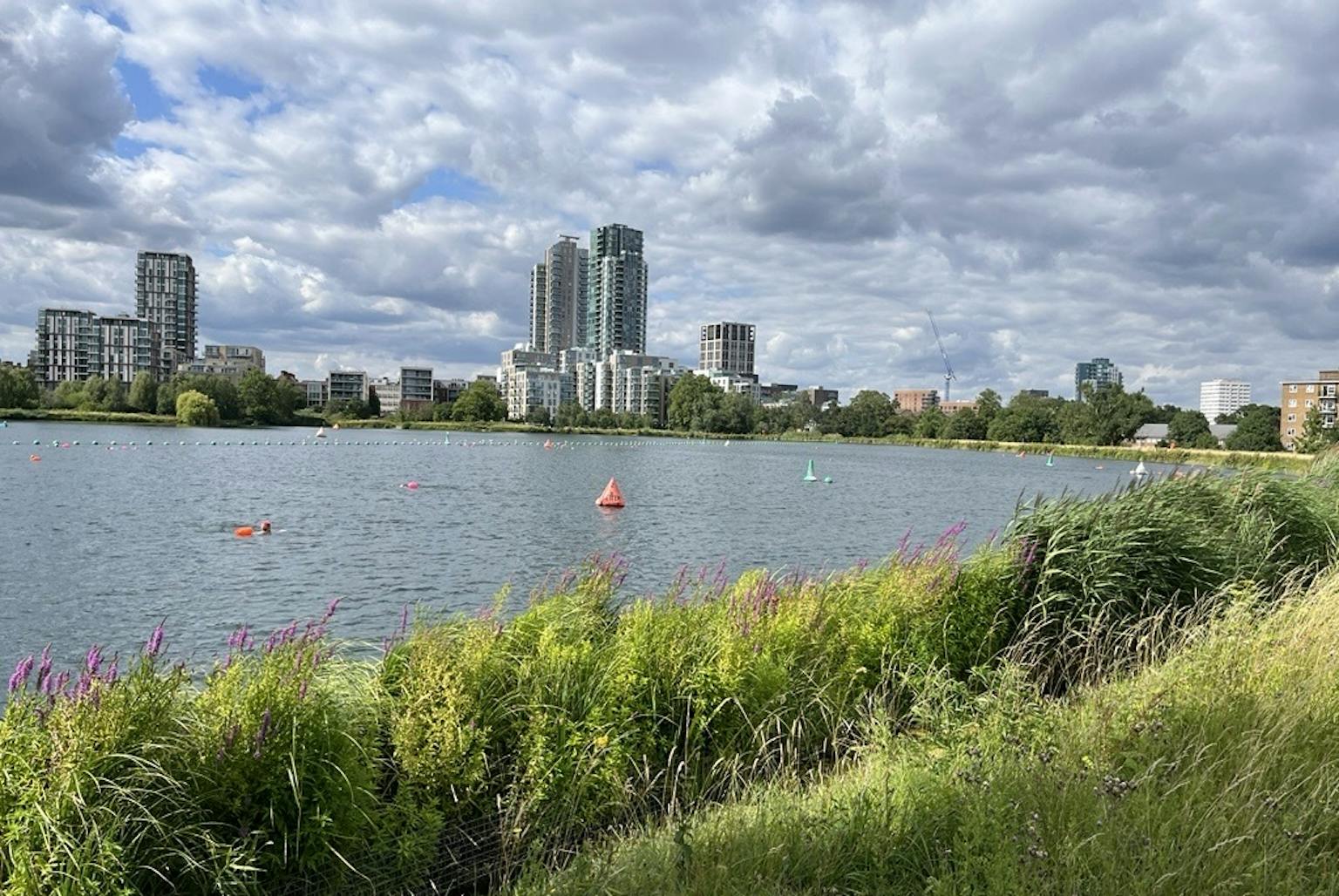A wide shot of West Reservoir in Green Lanes, London, on a cloudy day. The reservoir's surface is rippled and reflects the sky. A few buoys and small boats are scattered across the water. The foreground features green and purple reeds and grasses, while the background shows a row of modern high-rise buildings along the far bank.