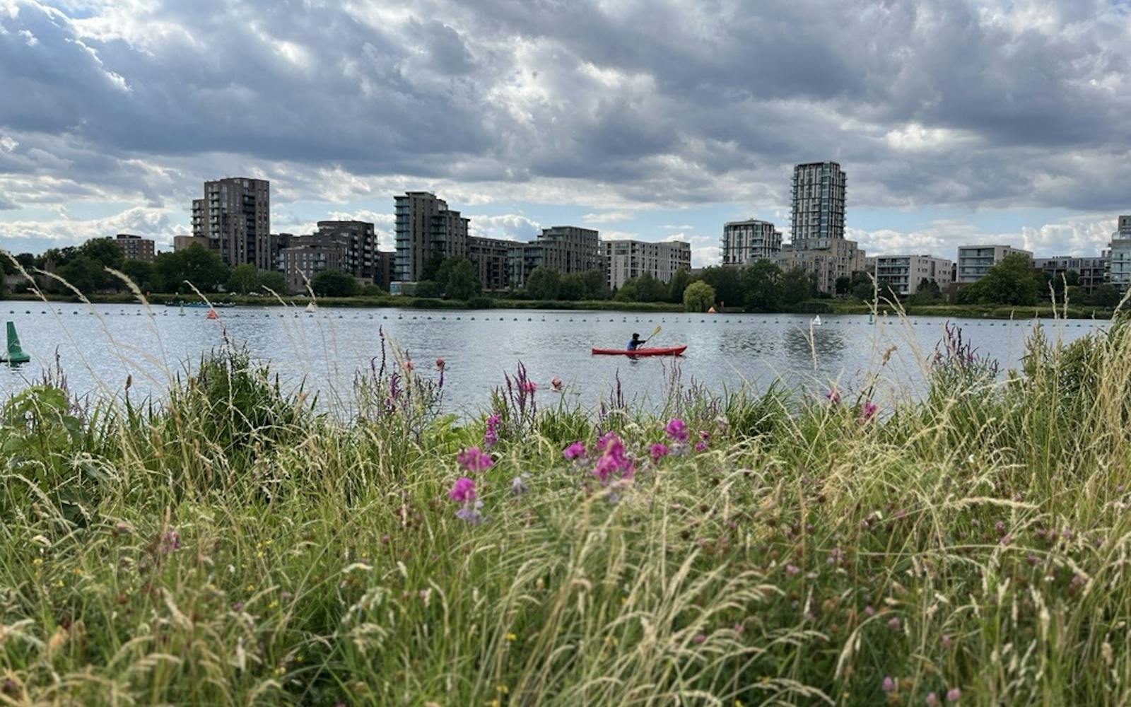 A wide shot of West Reservoir in Green Lanes, London, on a cloudy day. In the foreground, tall grasses and wildflowers, predominantly purple and pink, frame the bottom of the image. The reservoir's calm, reflective surface occupies the midground, with a single person in an orange kayak paddling across it. In the background, a skyline of modern residential buildings lines the far bank of the reservoir.