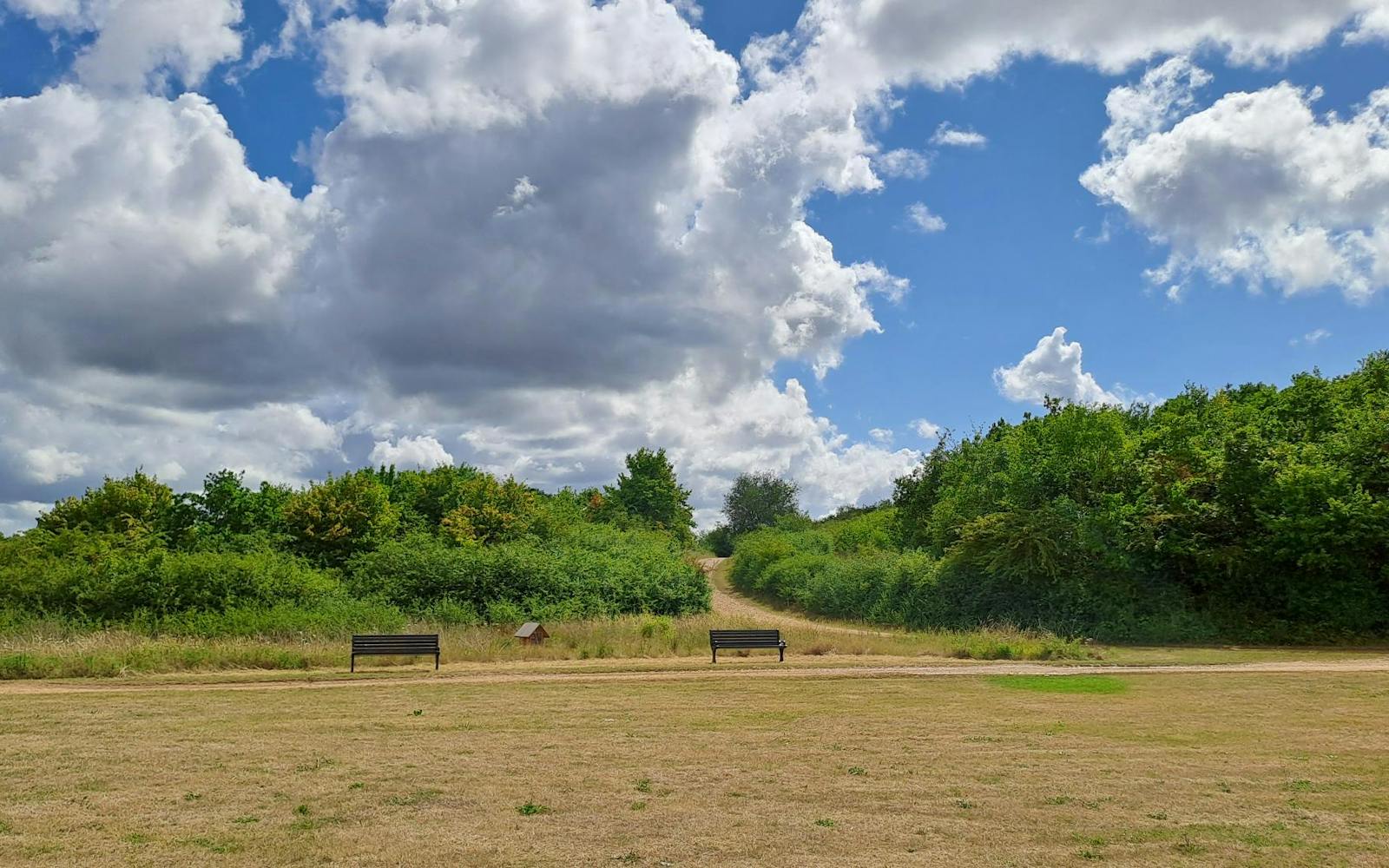 A wide shot of an open, grassy area with a dirt path running across the middle. Two dark-colored park benches are visible on either side of the path. Beyond the path, there is a lush green landscape with trees and bushes. The sky above is partly cloudy with large white clouds and patches of blue.