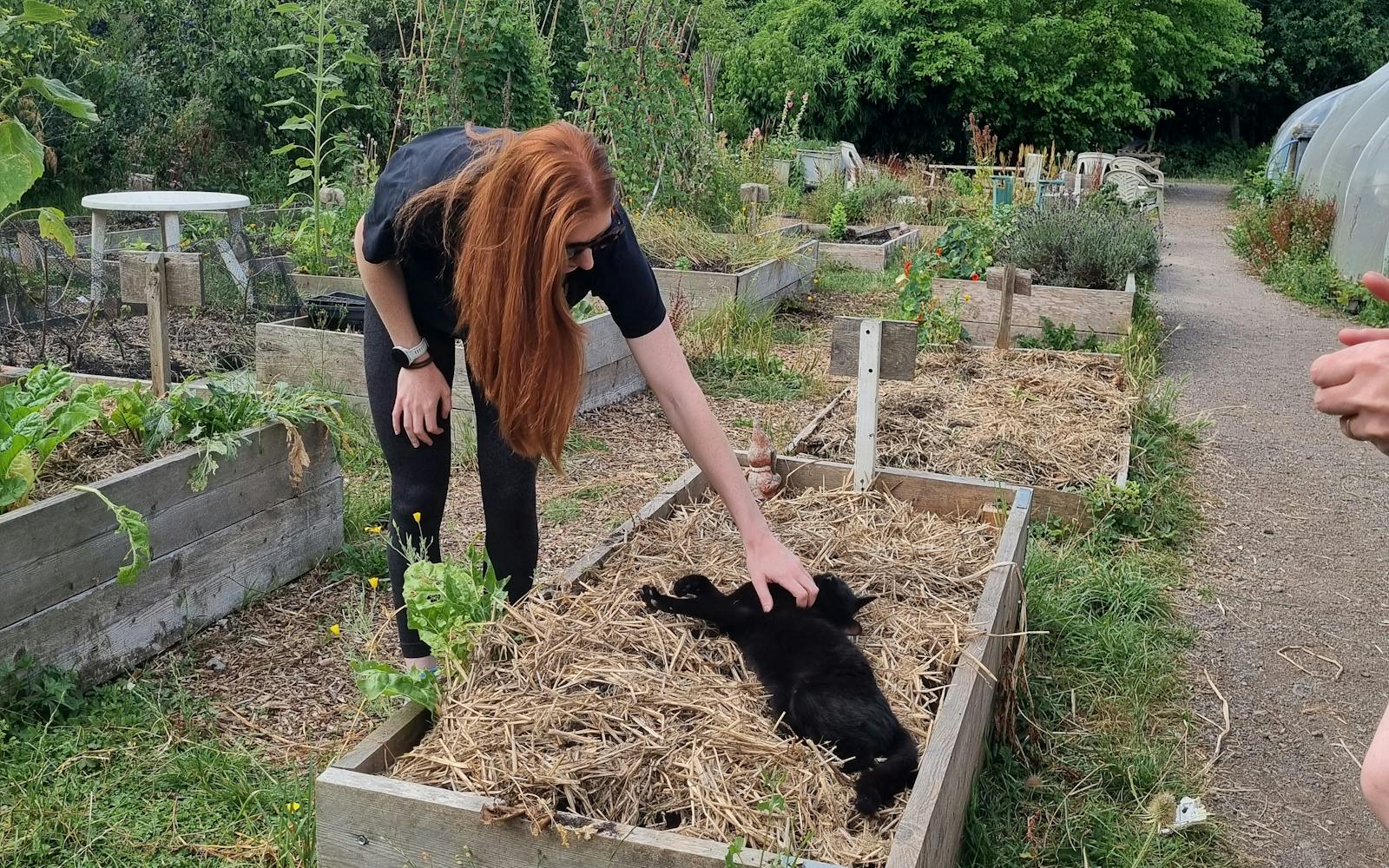 A person with long red hair bends over a raised garden bed, stroking a black cat lying on straw.