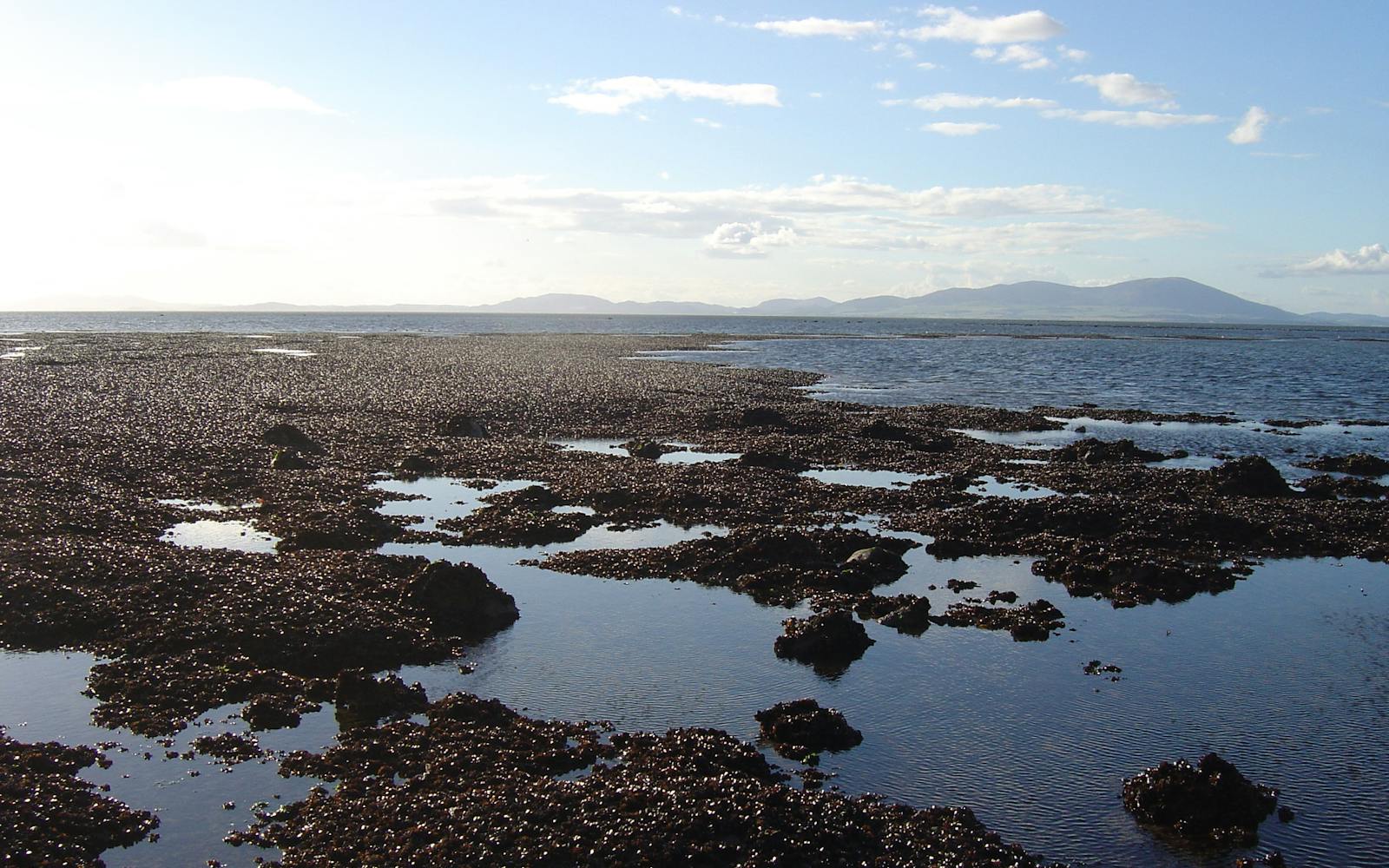 A low-tide view of a rocky coastline. The dark, wet rocks are exposed, with small pools of water reflecting a bright, cloudy sky. Distant hills are visible on the horizon.