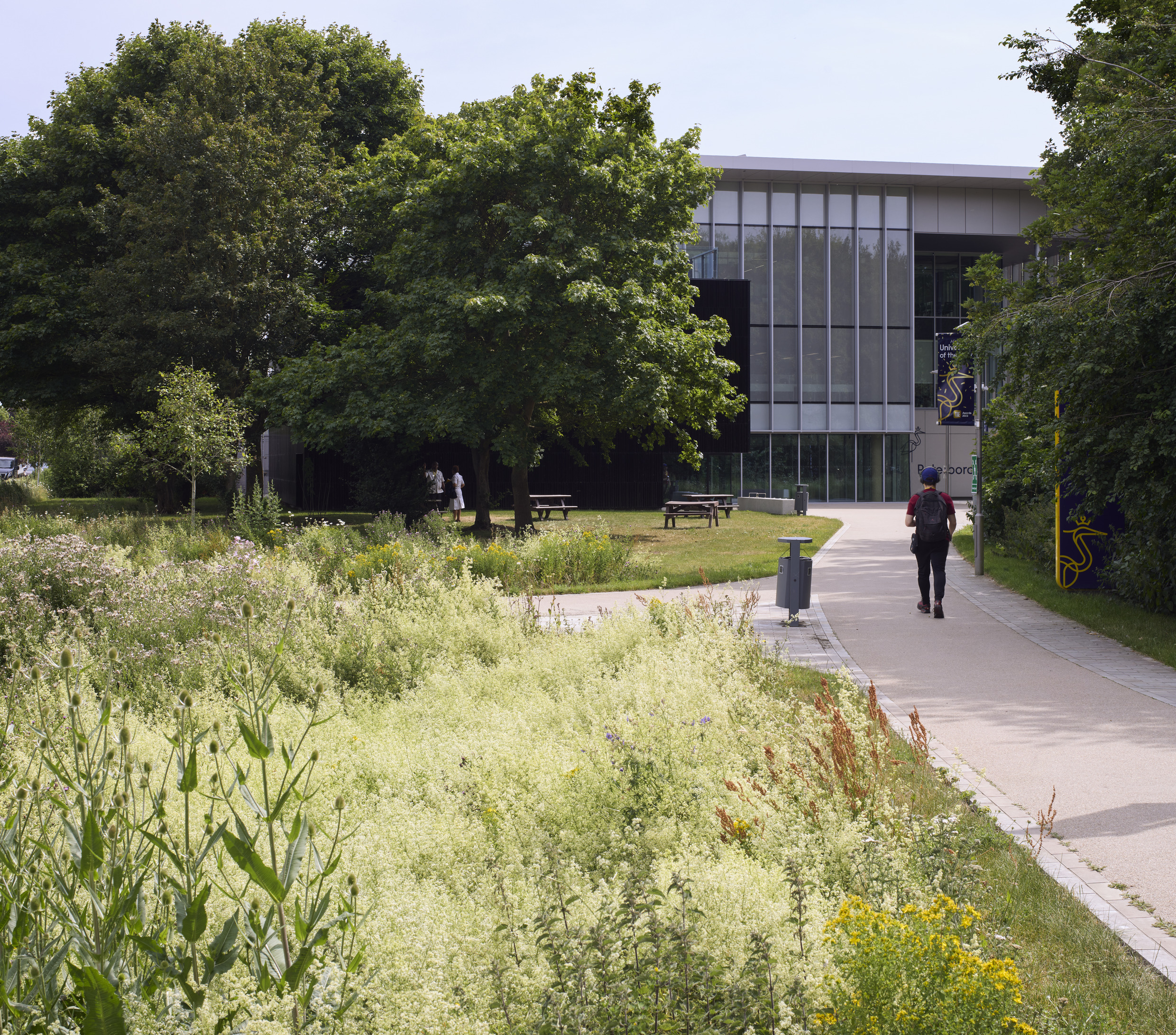 A student walks along a path next to a field of wildflowers with a modern university building in the background.