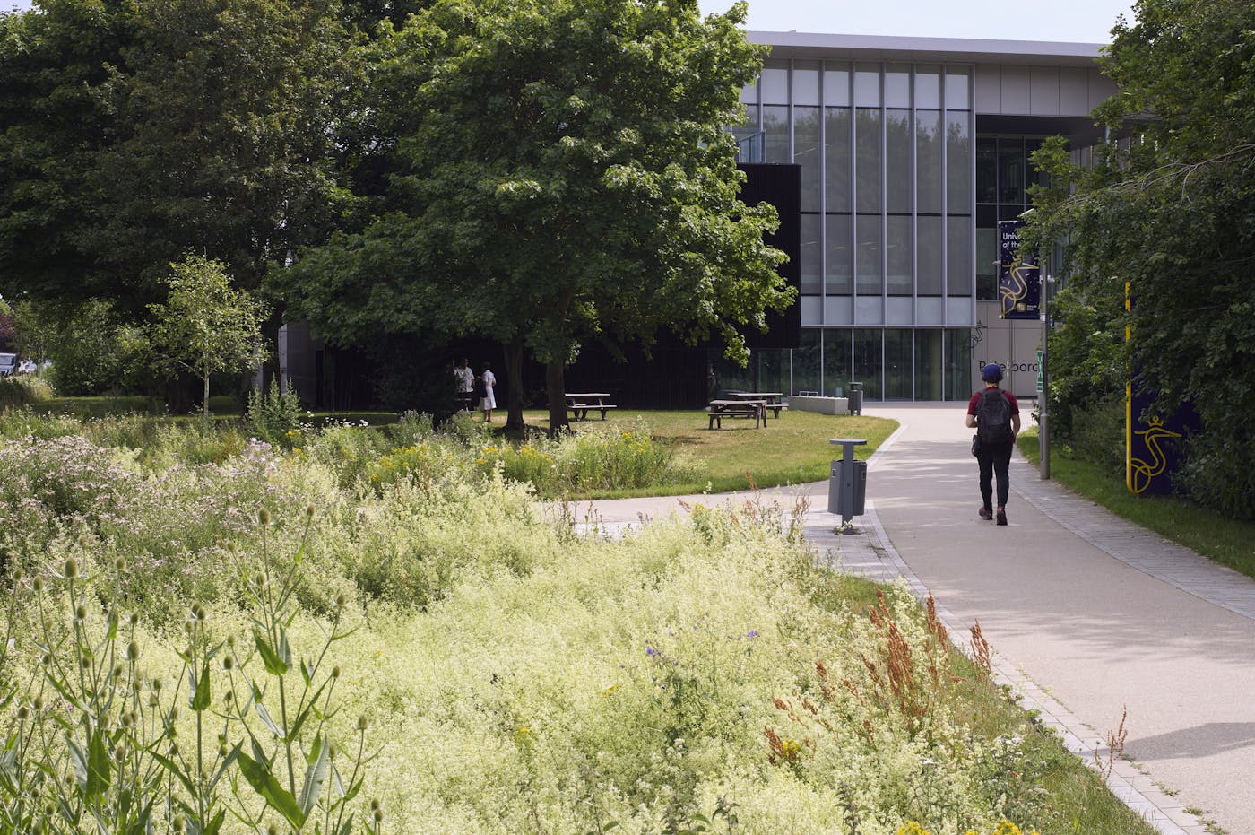 A student walks along a path next to a field of wildflowers with a modern university building in the background.